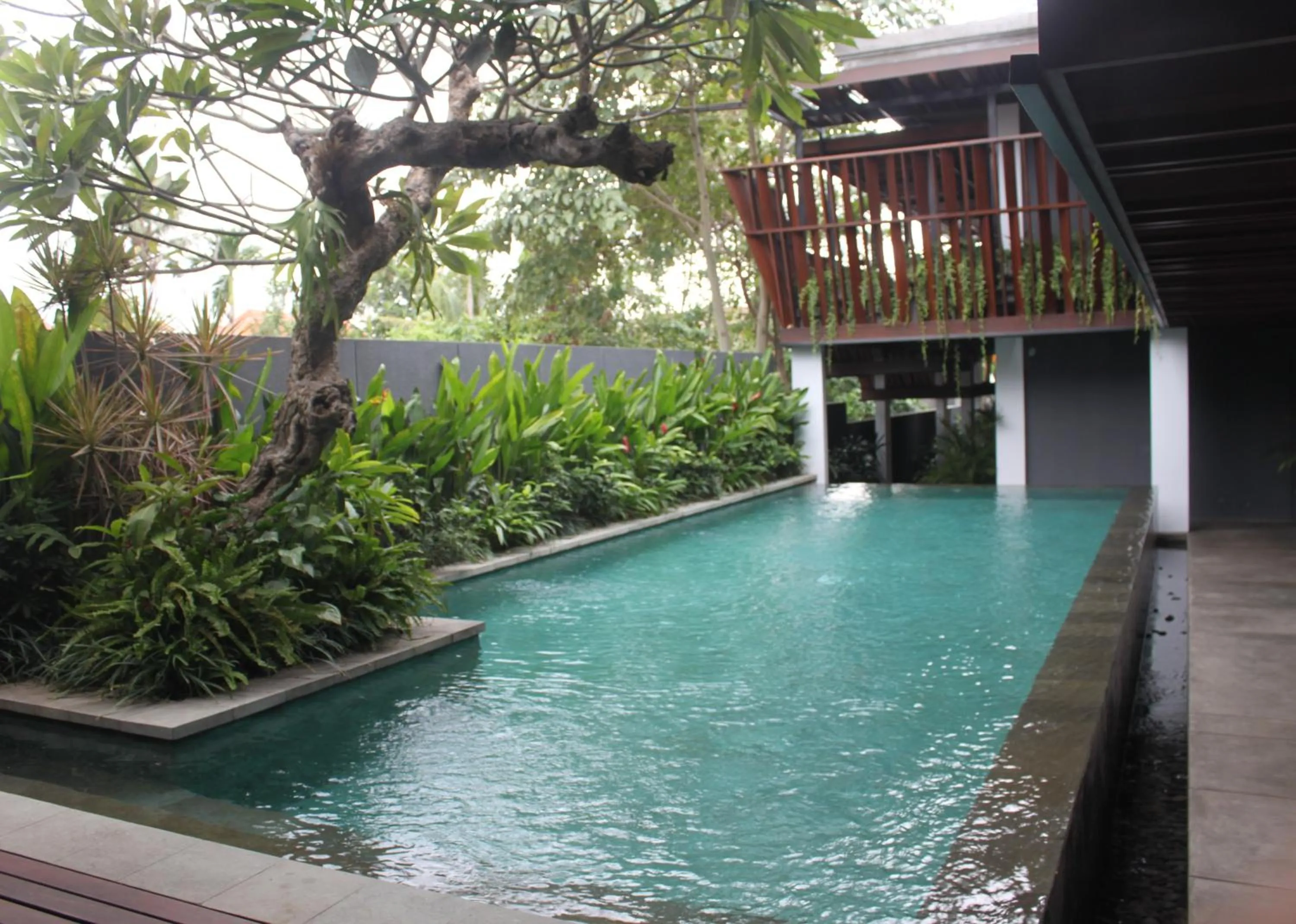 Pool view in The Kemilau Hotel & Villa Canggu Bali