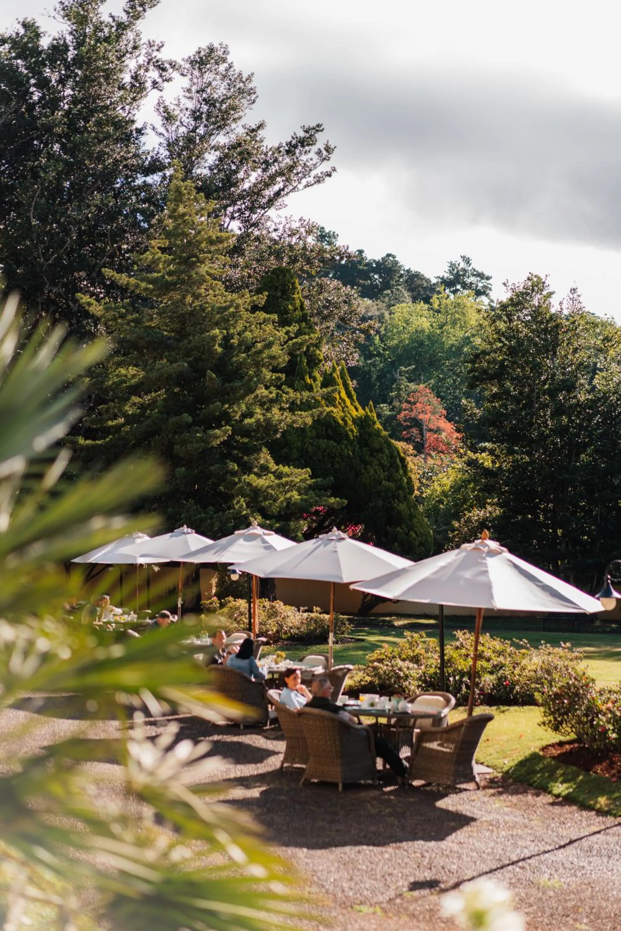 Off site in Casa Velha do Palheiro Relais & Chateaux