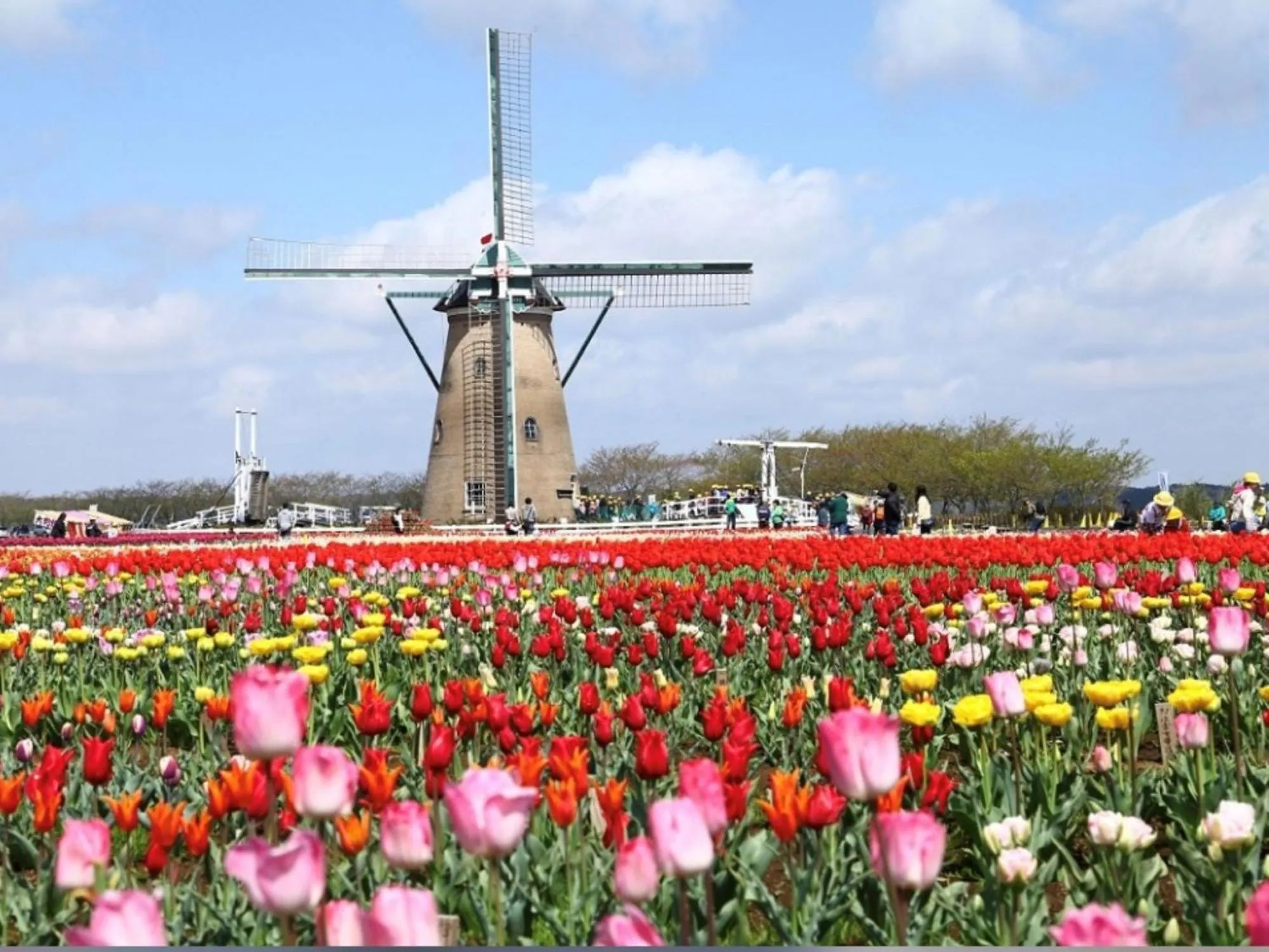 Nearby landmark in Vessel Inn Yachiyo Katsudai Station