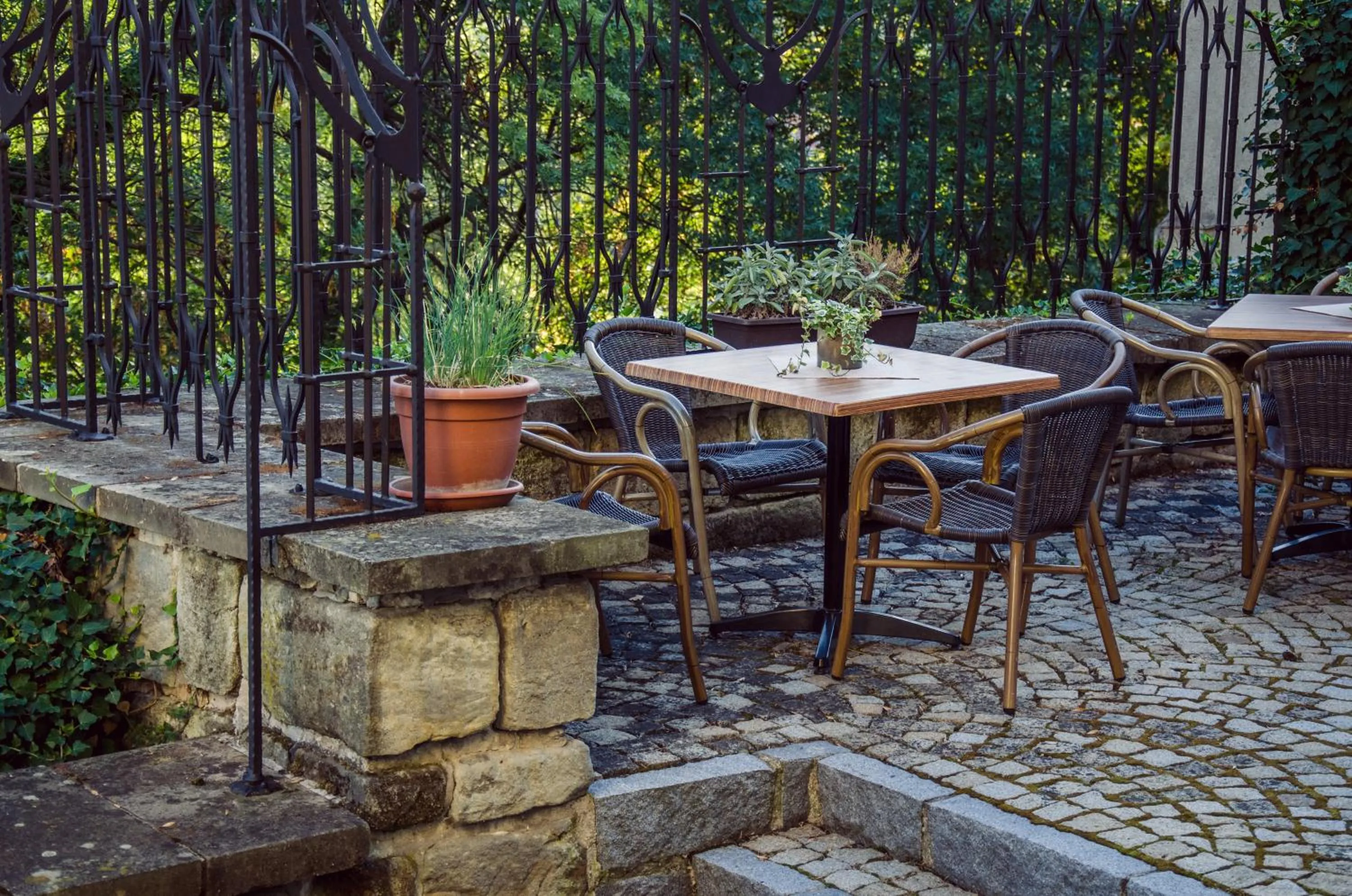 Restaurant/places to eat in Hotel Fortna