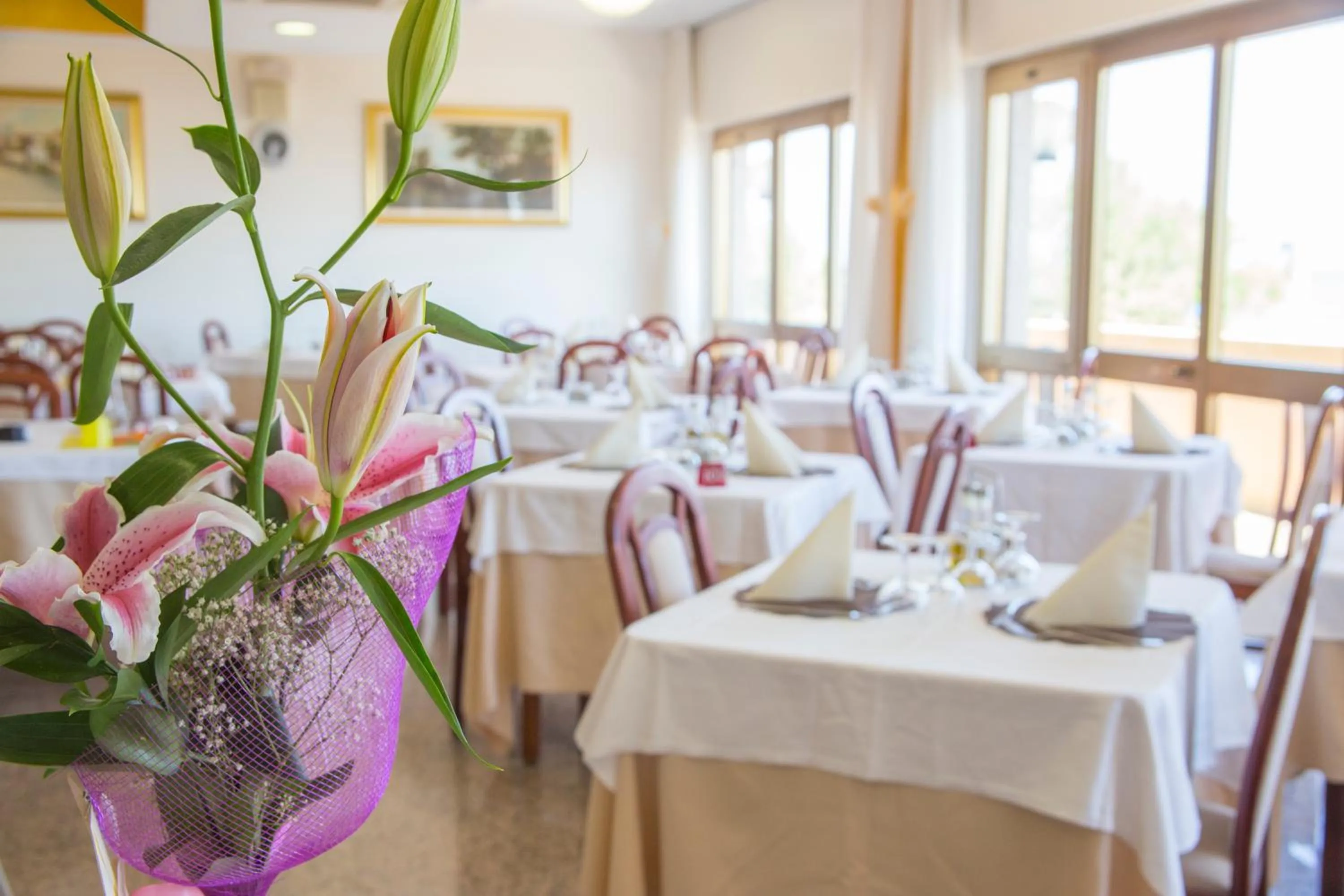 Restaurant/places to eat in Hotel Touring