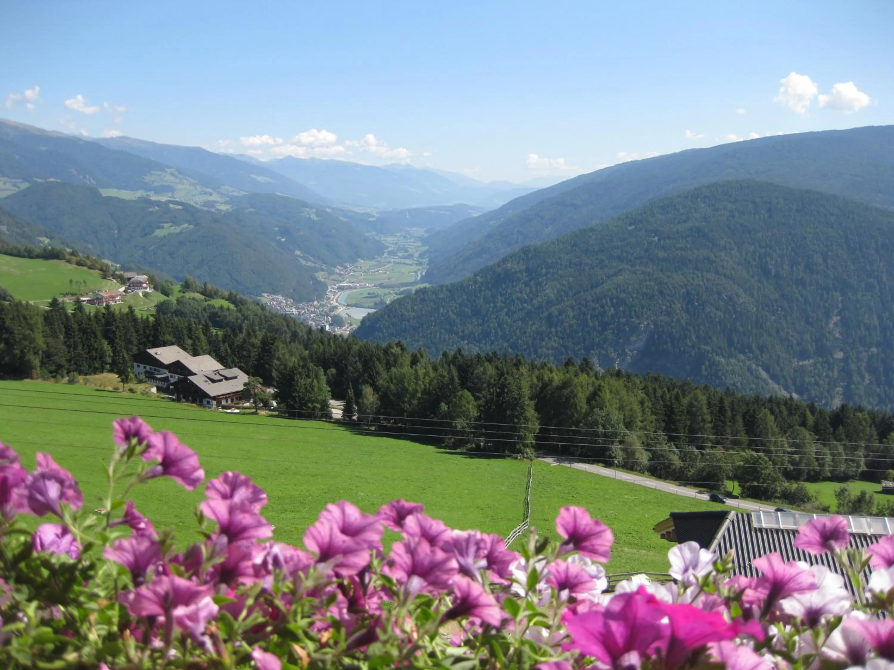 Facade/entrance in Pension Sonnenhof