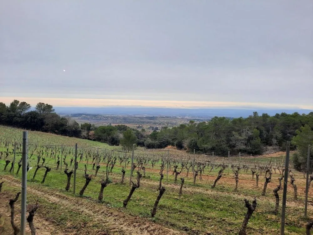 City view in Domaine La Sauzette