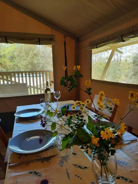 View (from property/room) in Domaine La Sauzette