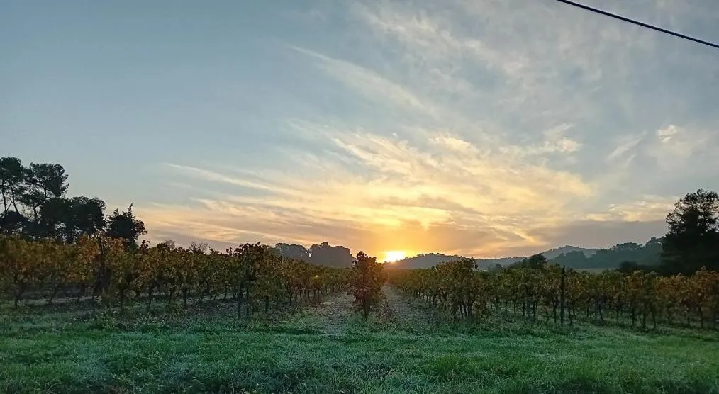 Mountain view in Domaine La Sauzette