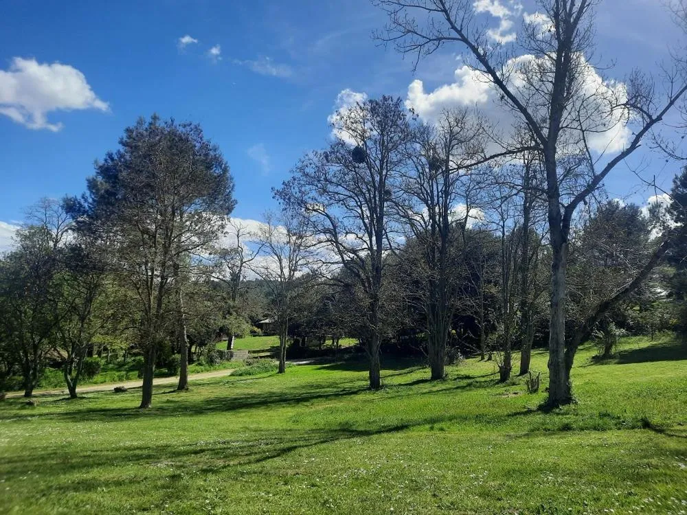 Garden view in Domaine La Sauzette