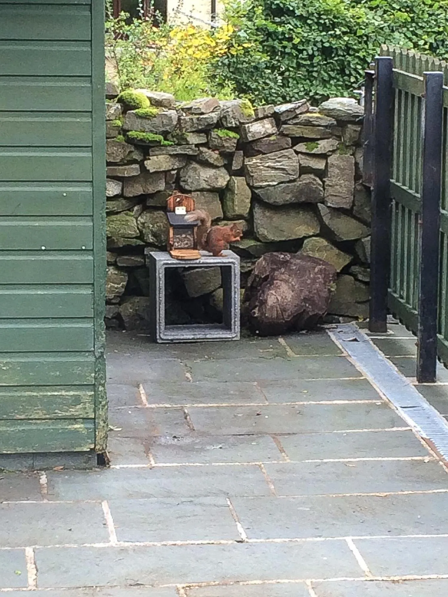 Animals in Lords Seat Bed & Breakfast