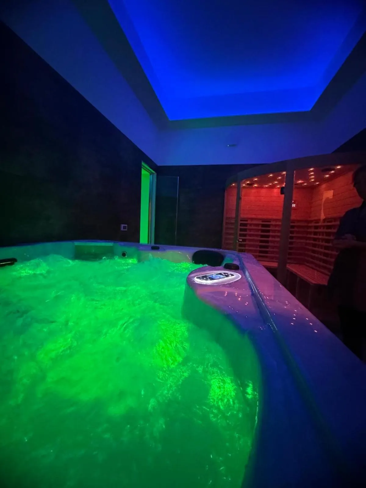 Hot Tub in Hotel Butterfly Wellness & Spa