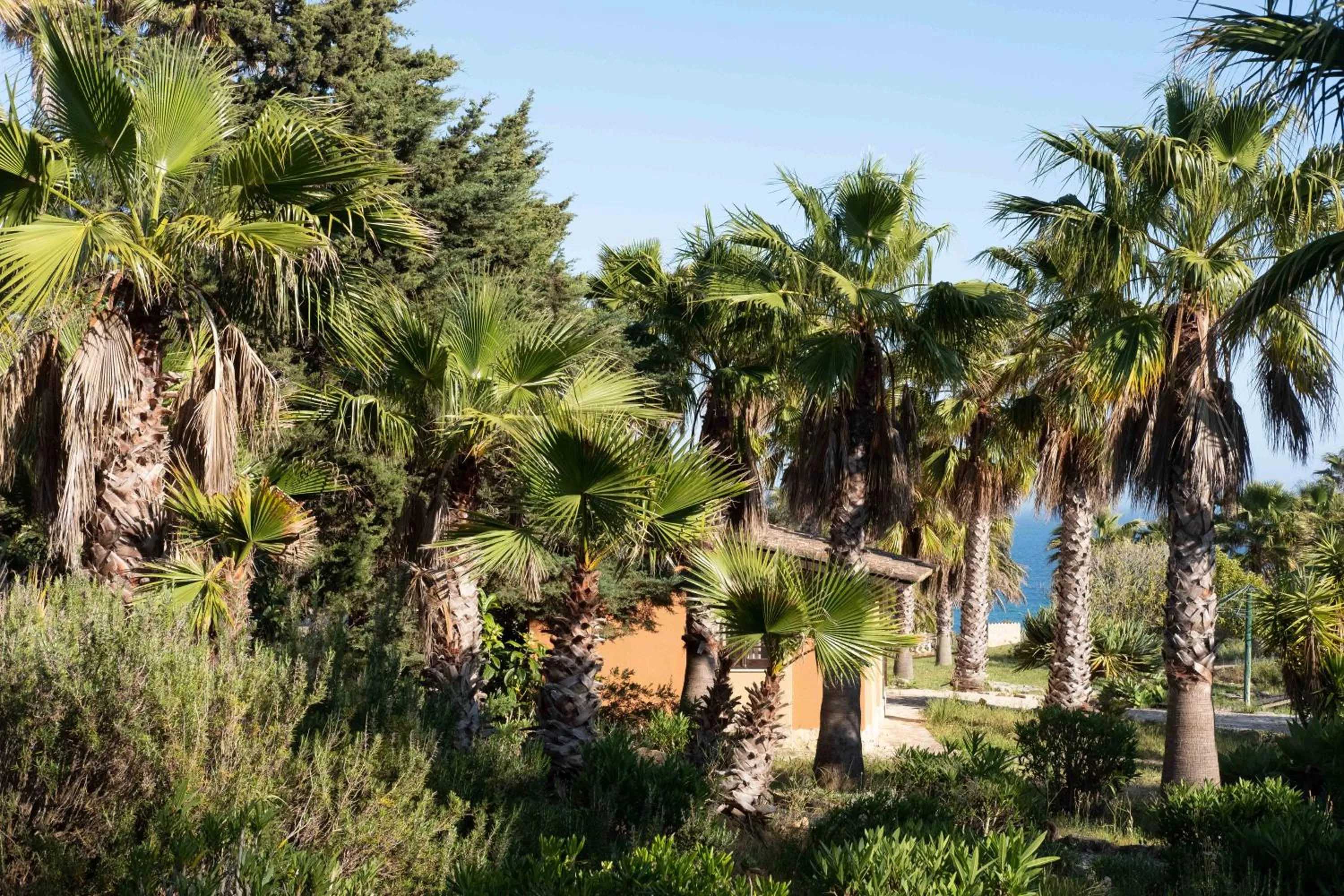 Garden in Quinta do Mar - Country & Sea Village