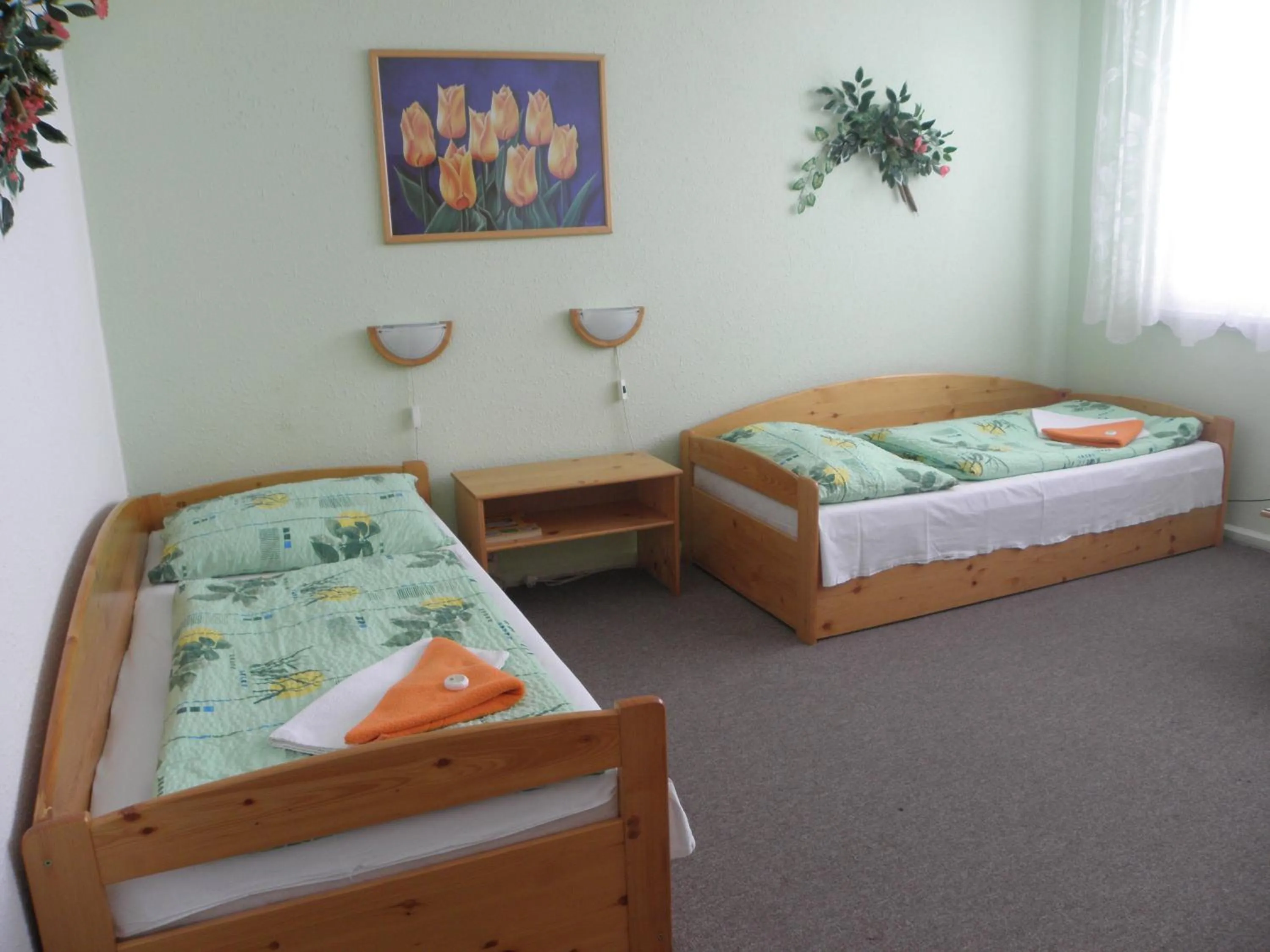 Photo of the whole room in Hotel Milotel