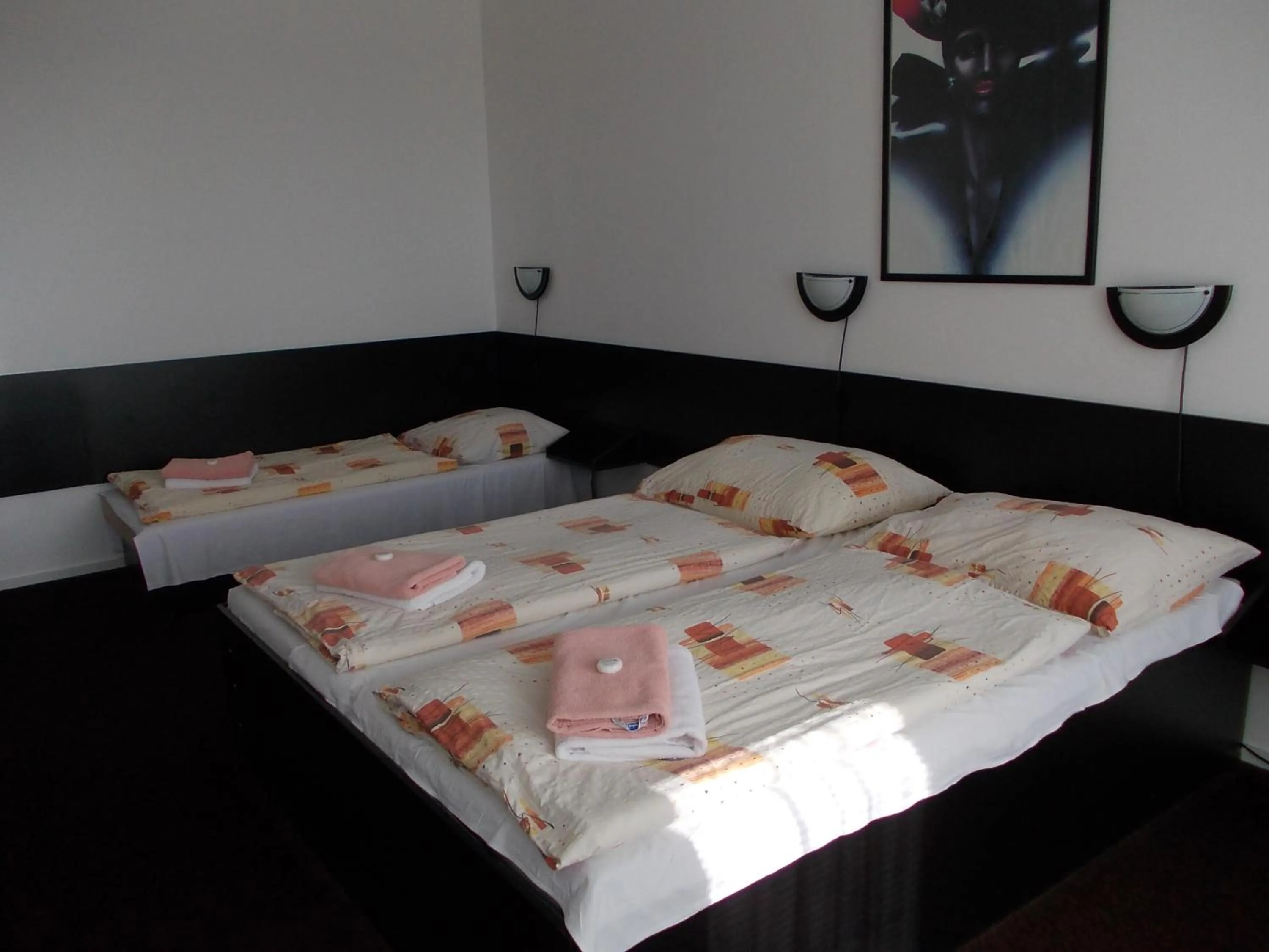 Photo of the whole room in Hotel Milotel