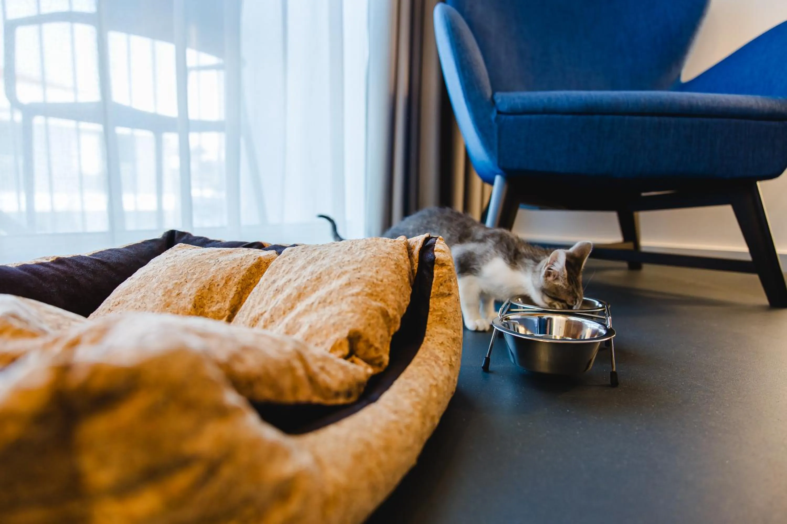 pet friendly in Canadiano Urban Nature Hotel