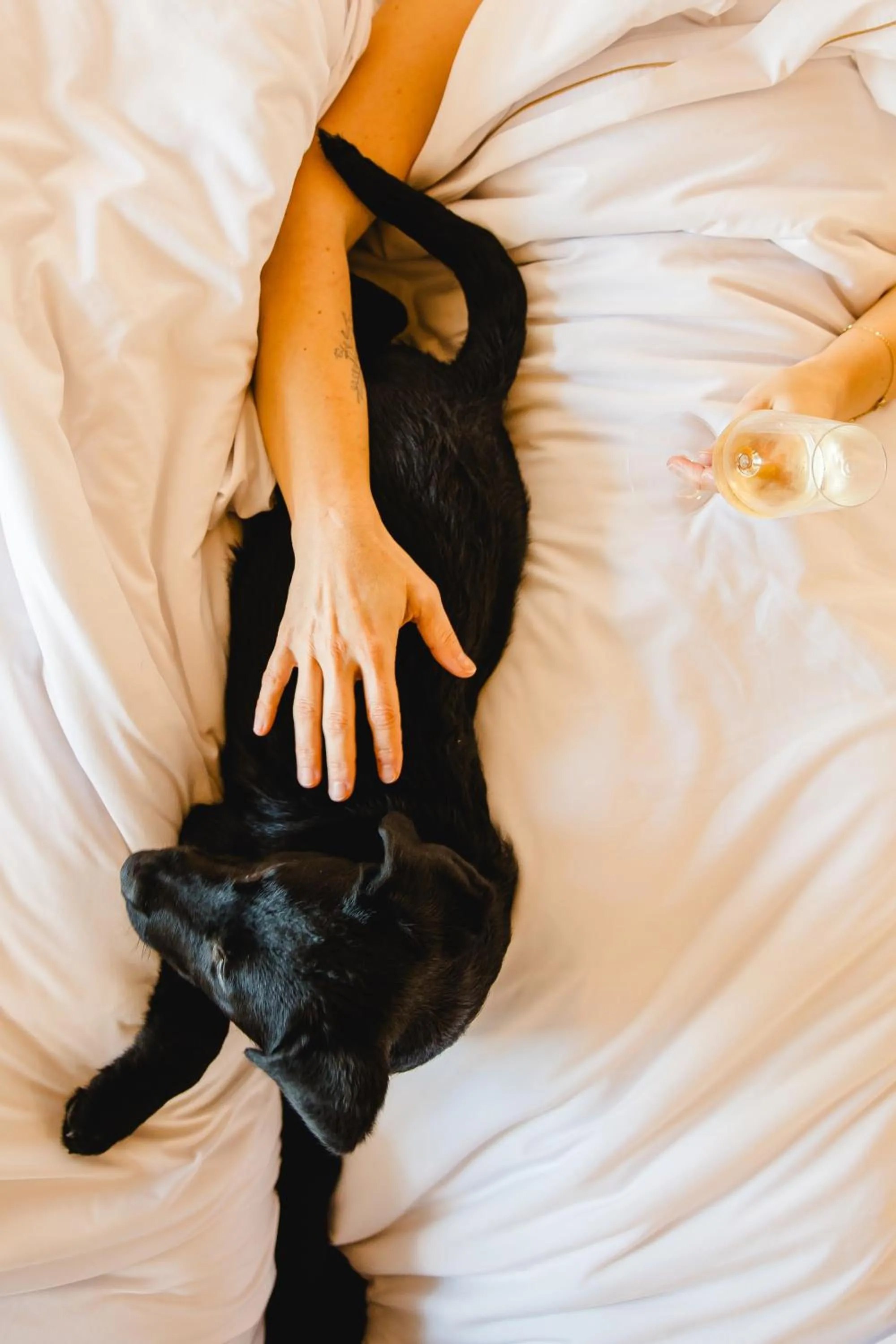 Animals in Canadiano Urban Nature Hotel