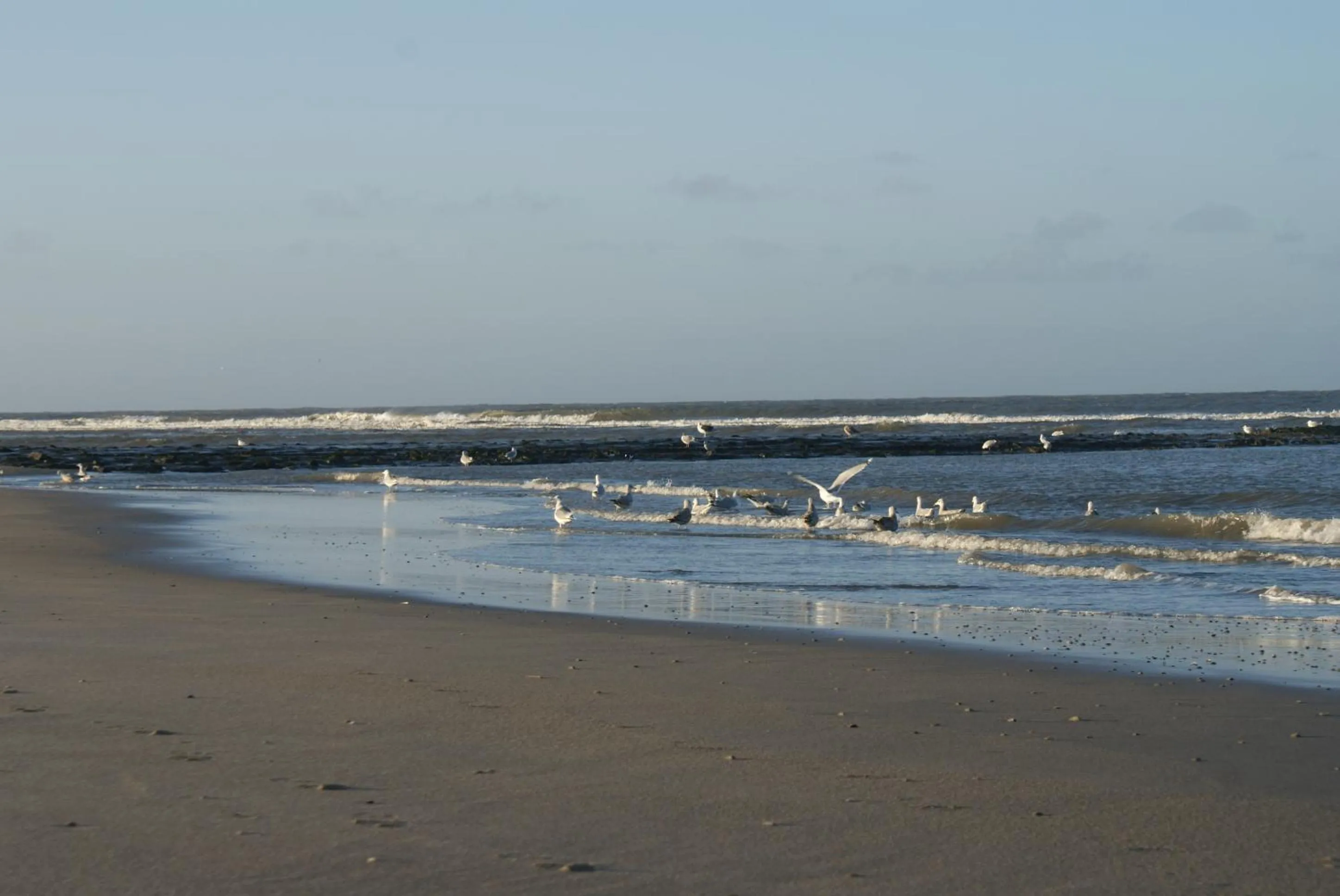 Other in De Herbergh van Flielant