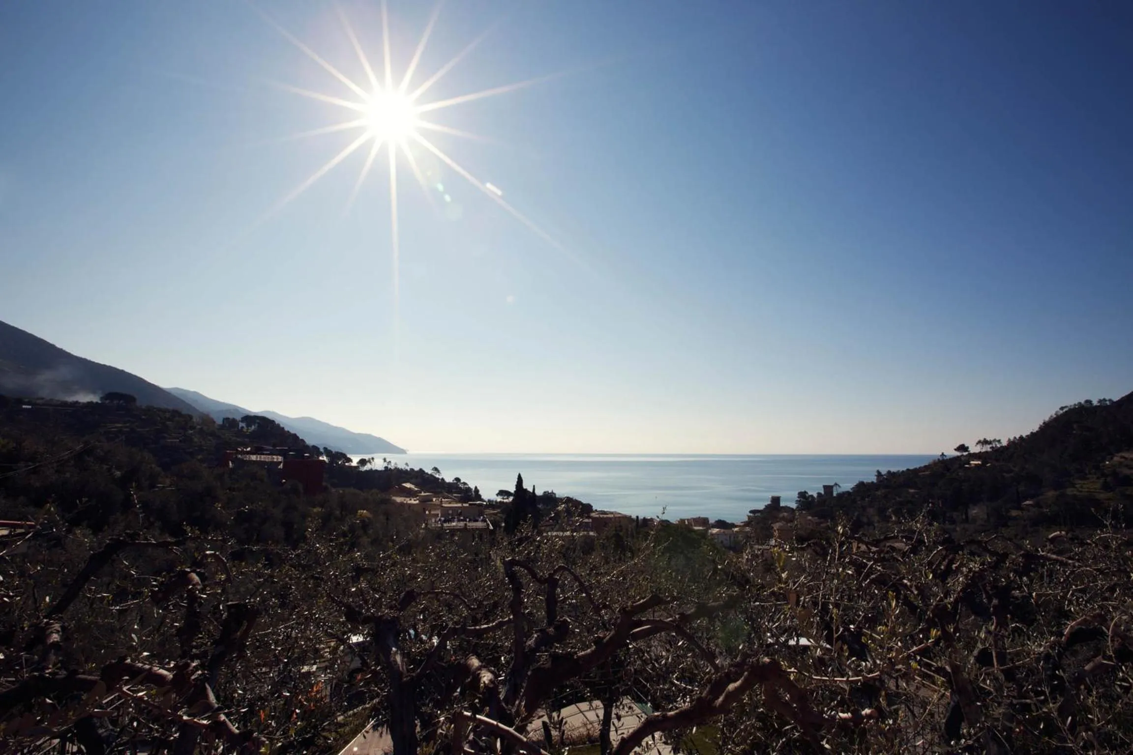 Balcony/Terrace in B&B Il Parco