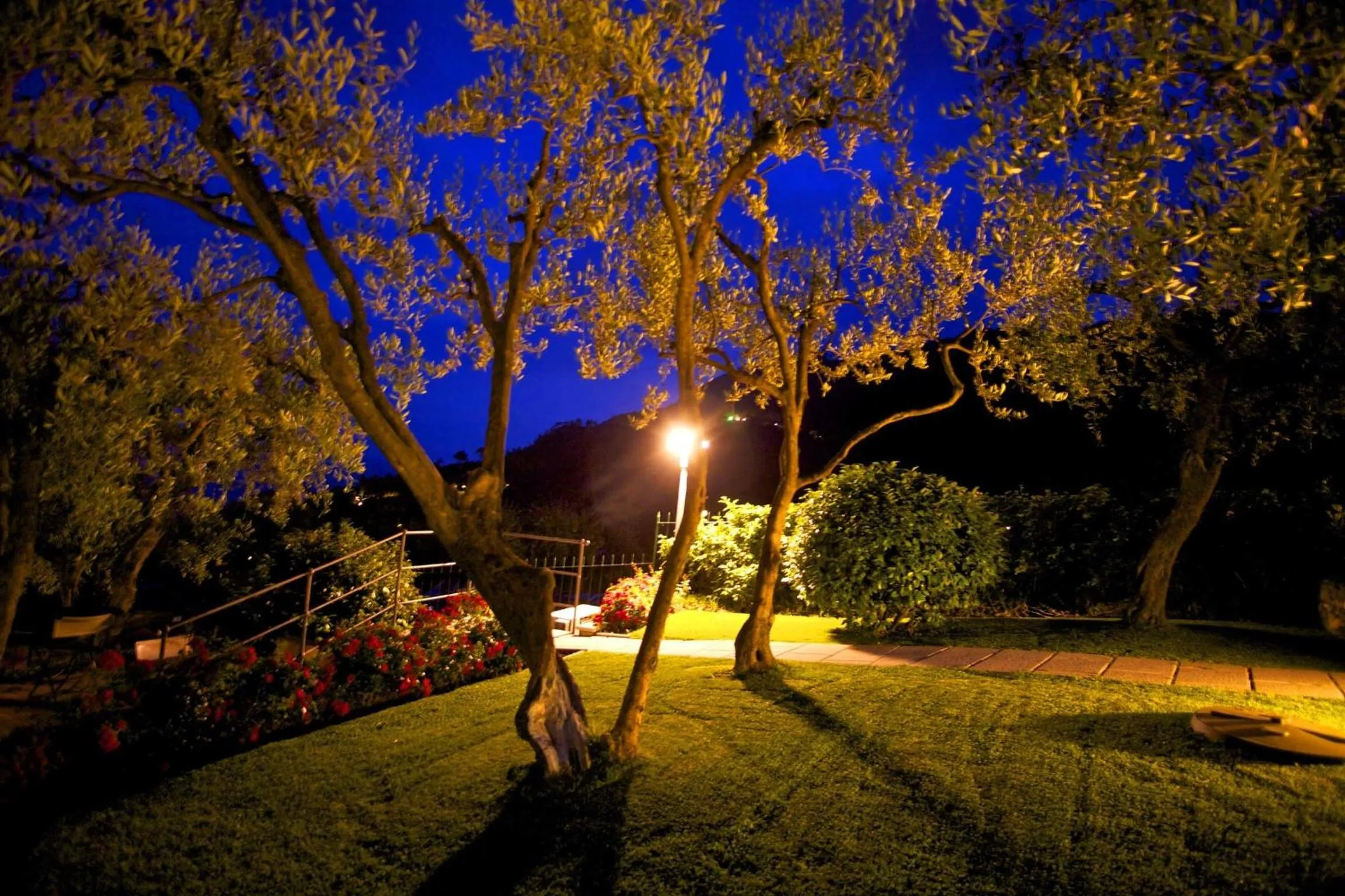 Garden view in B&B Il Parco