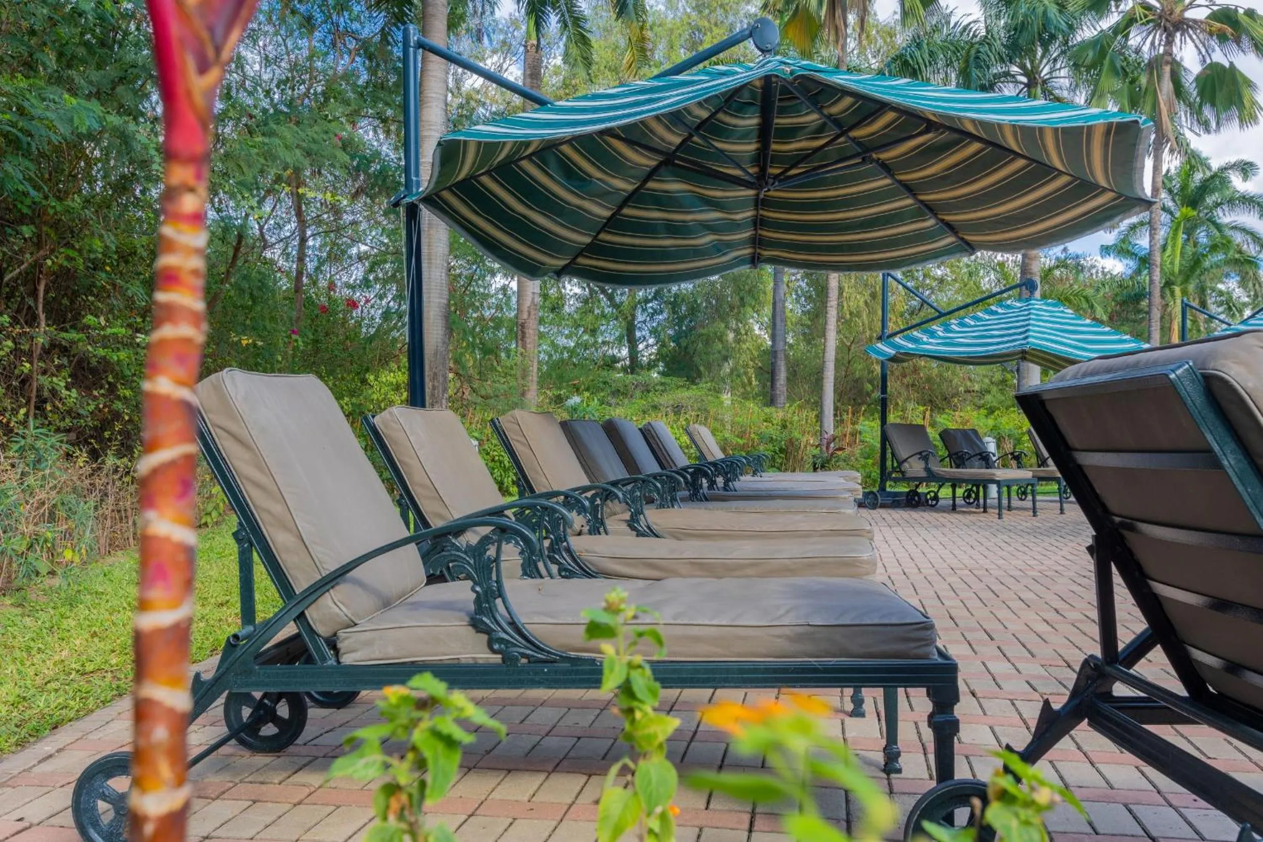 Swimming pool in Dar es Salaam Serena Hotel