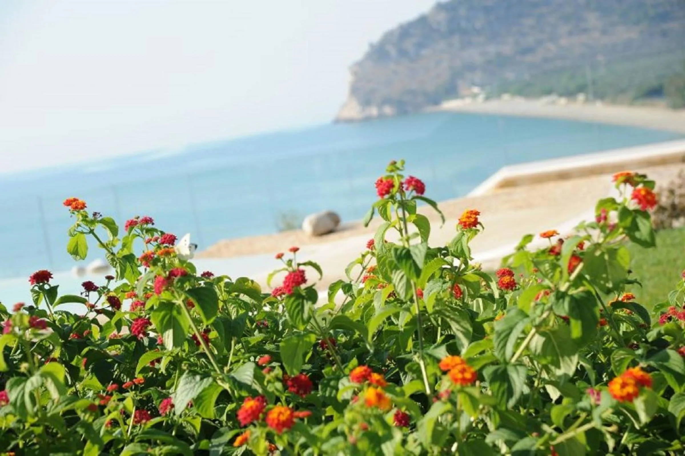 Garden in Hotel Residence Il Porto
