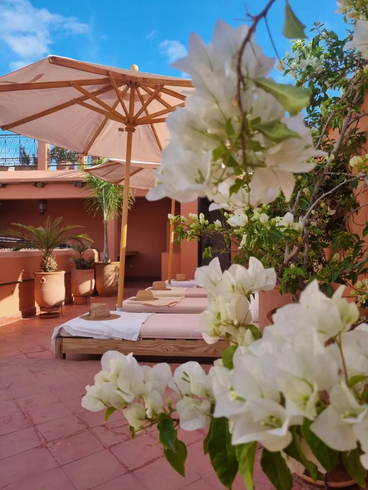 Balcony/Terrace in Riad Dar El Gnaouia