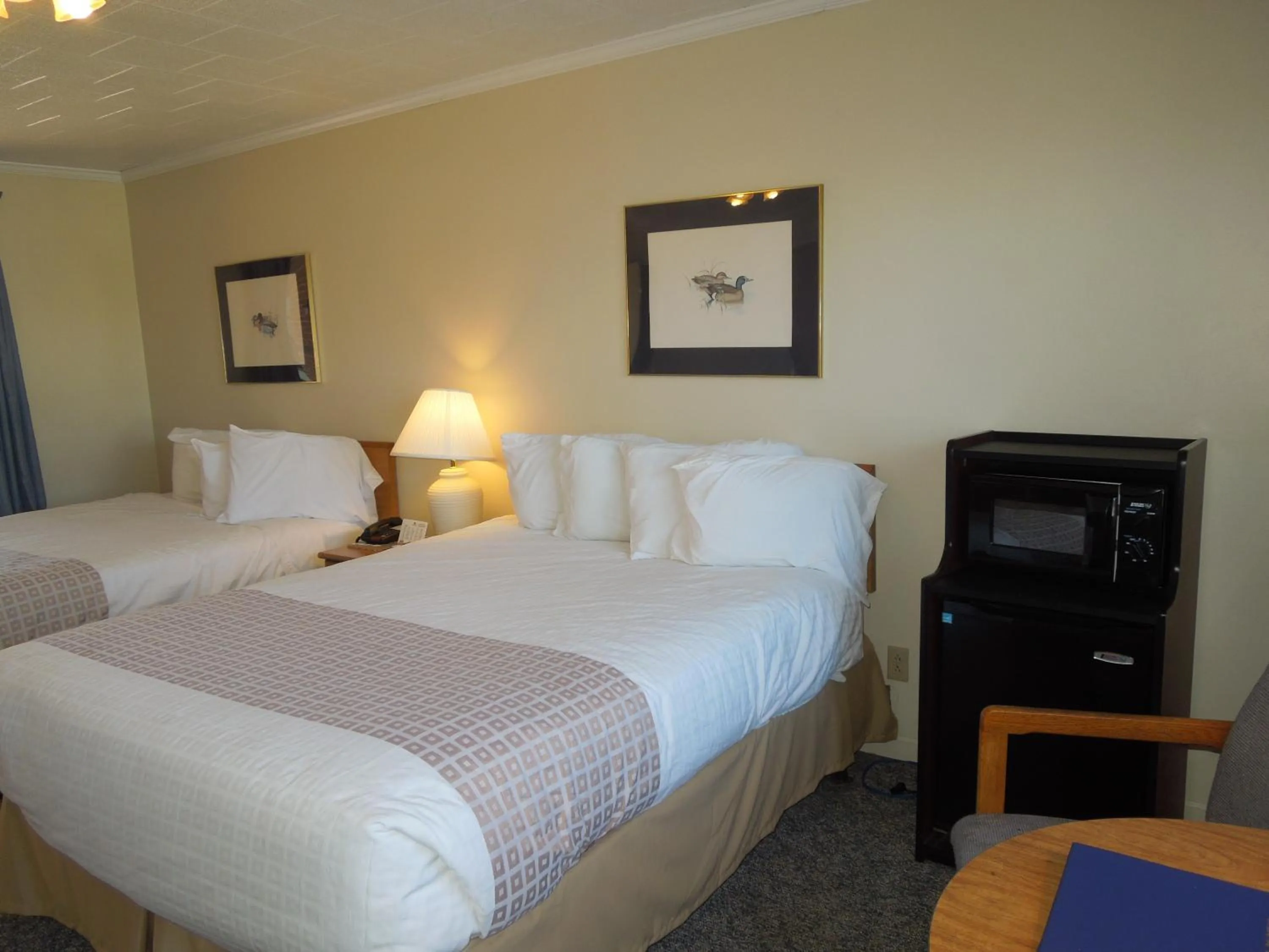 Photo of the whole room in Arlington Inn