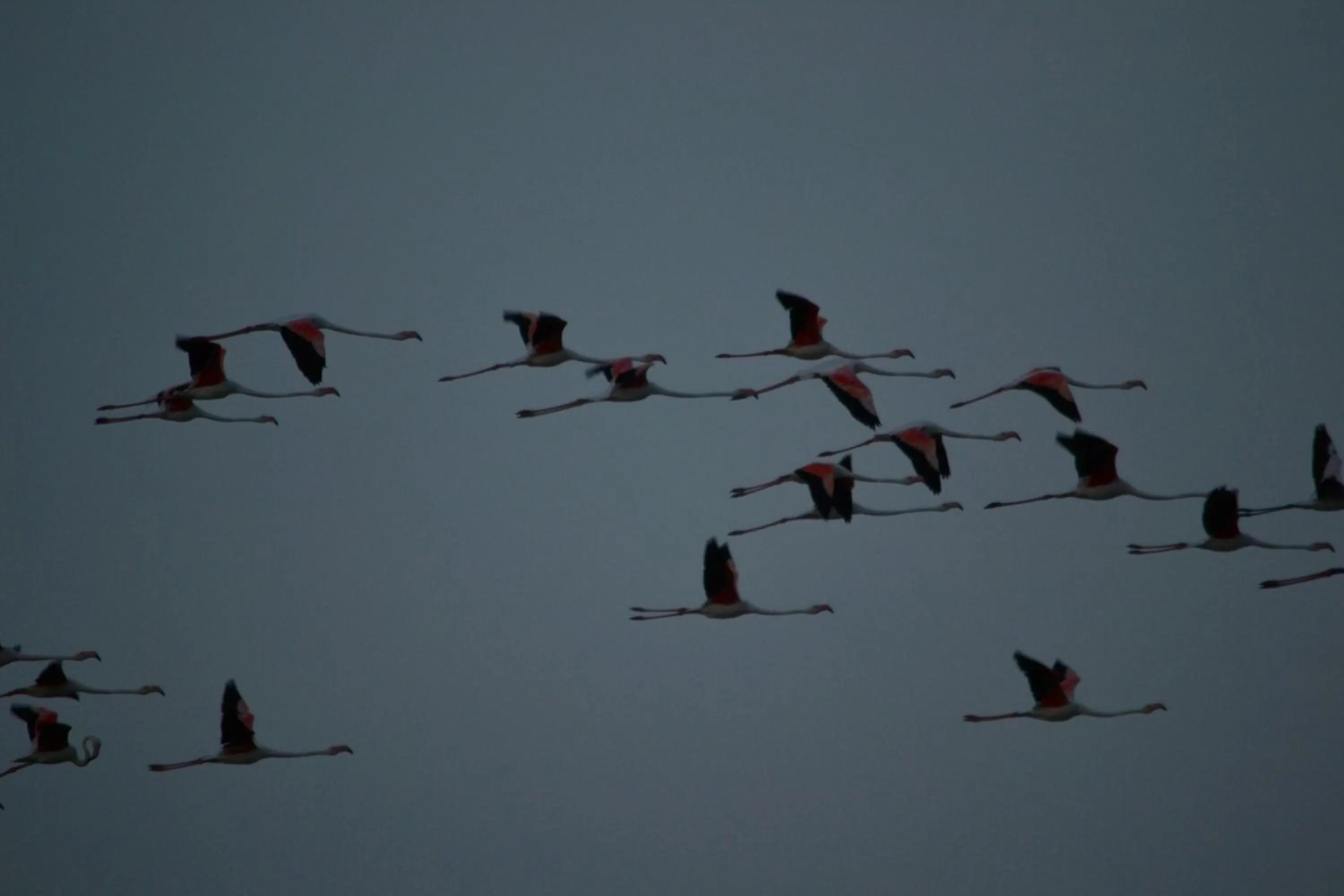 B&B Le Saline Bed & Breakfast