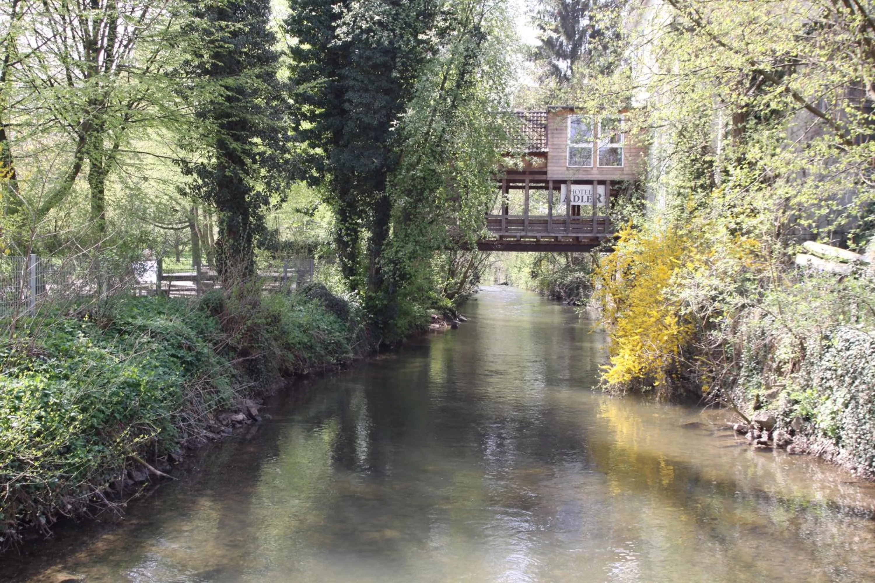 Area and facilities in Hotel Adler