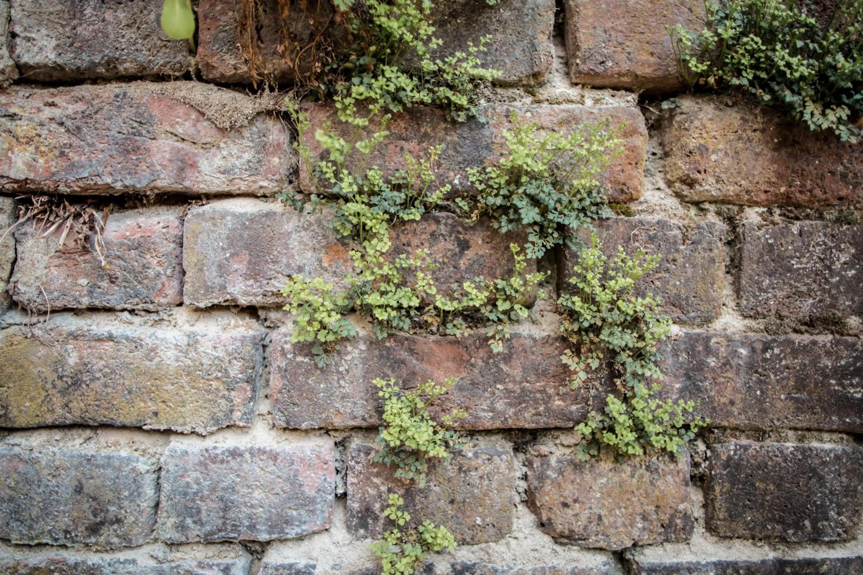 Property building in Hotel Adler