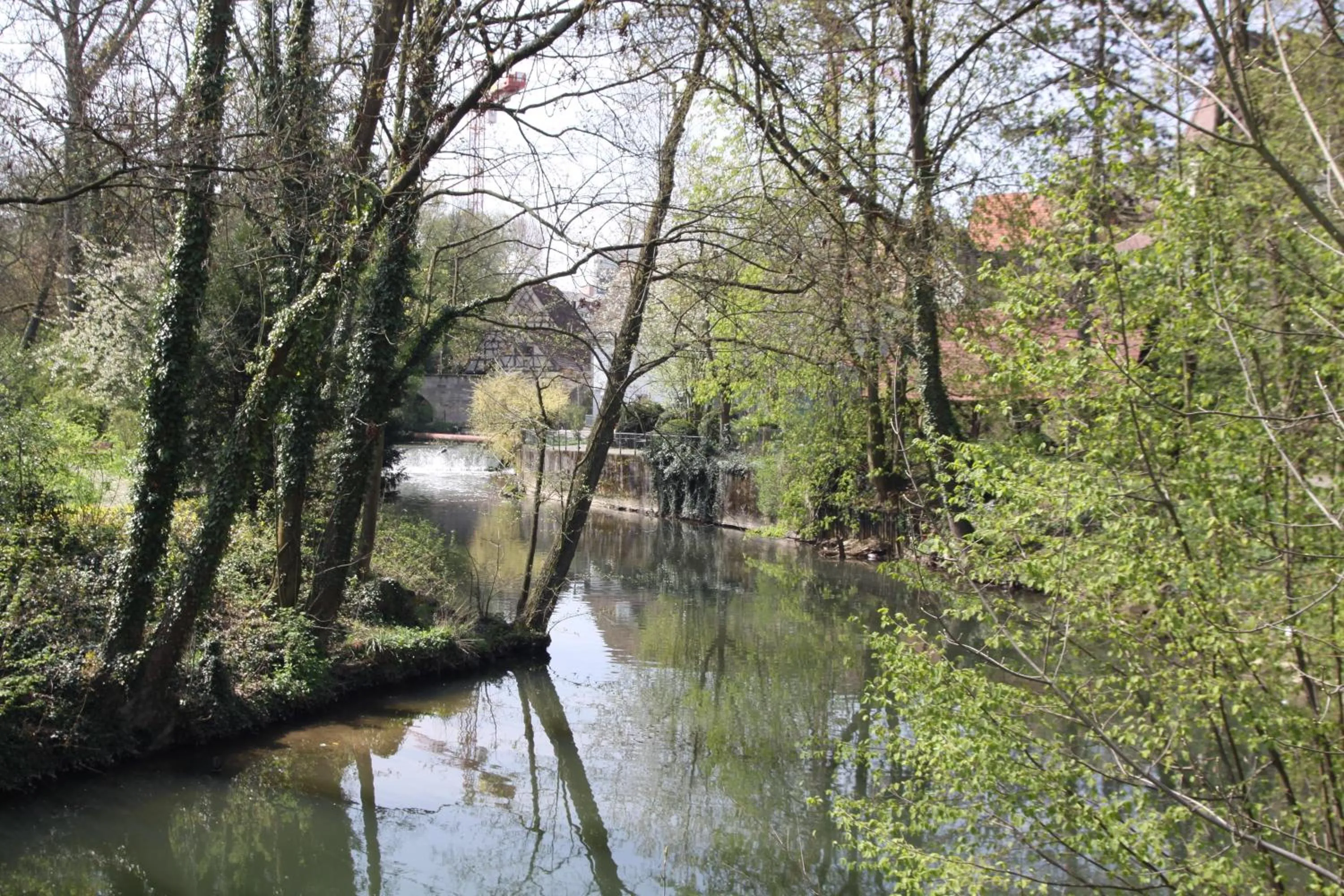 View (from property/room) in Hotel Adler