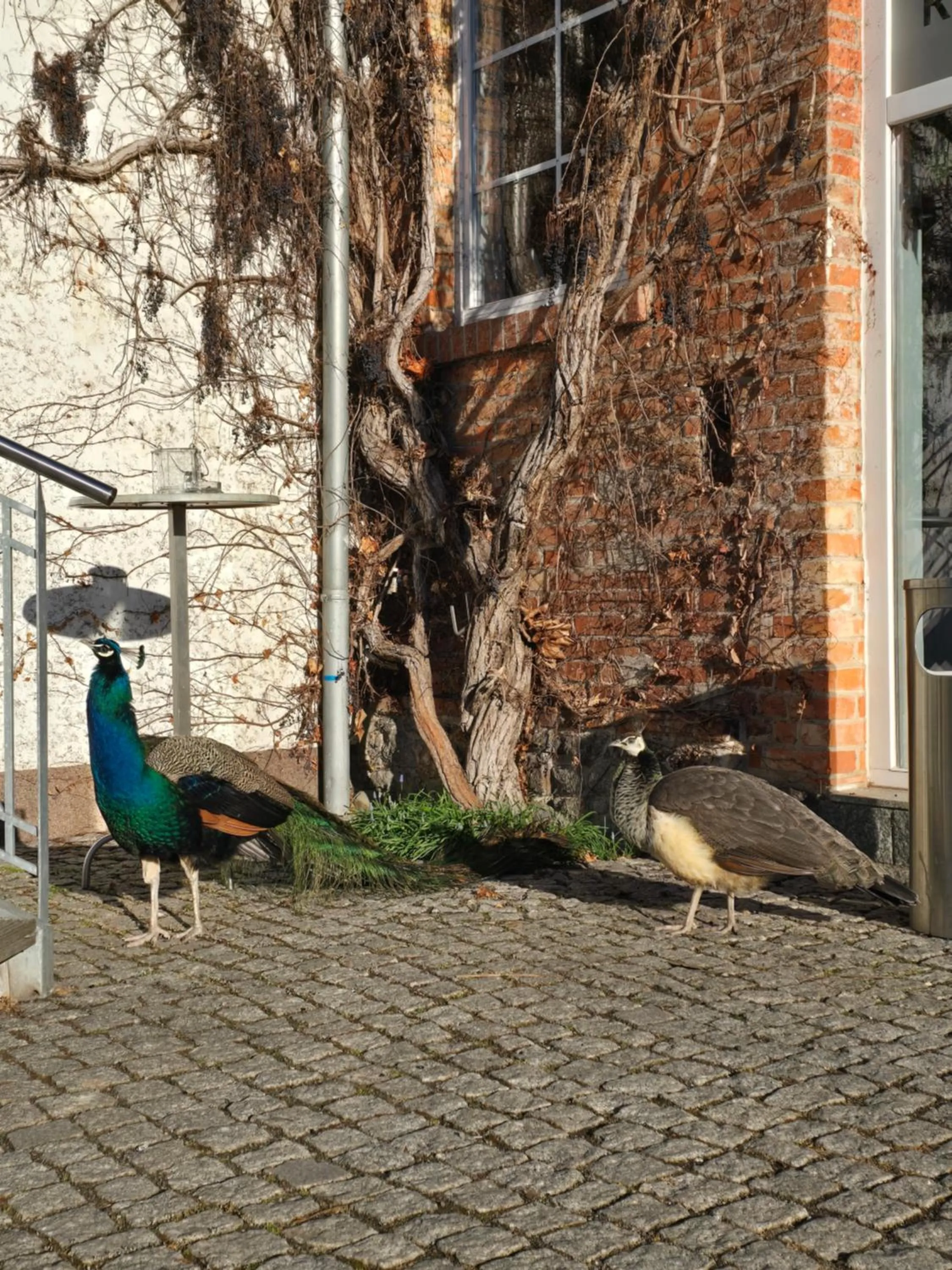 Hotel Bördehof, direkt an der A2 & A14, Restaurant, Tagung, individuell