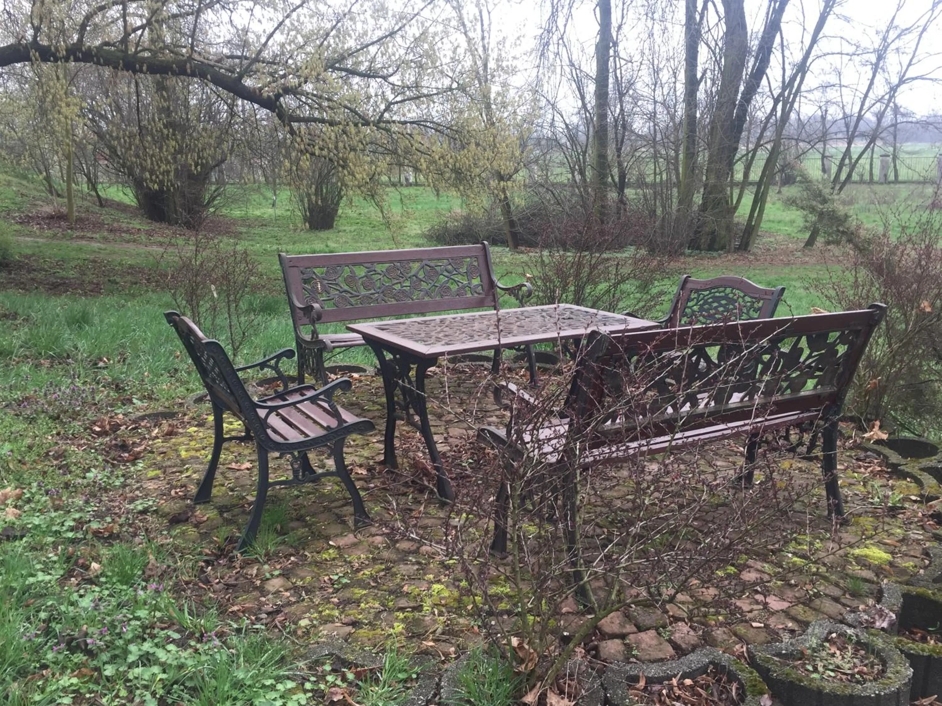 Activities in Zamek Dobra