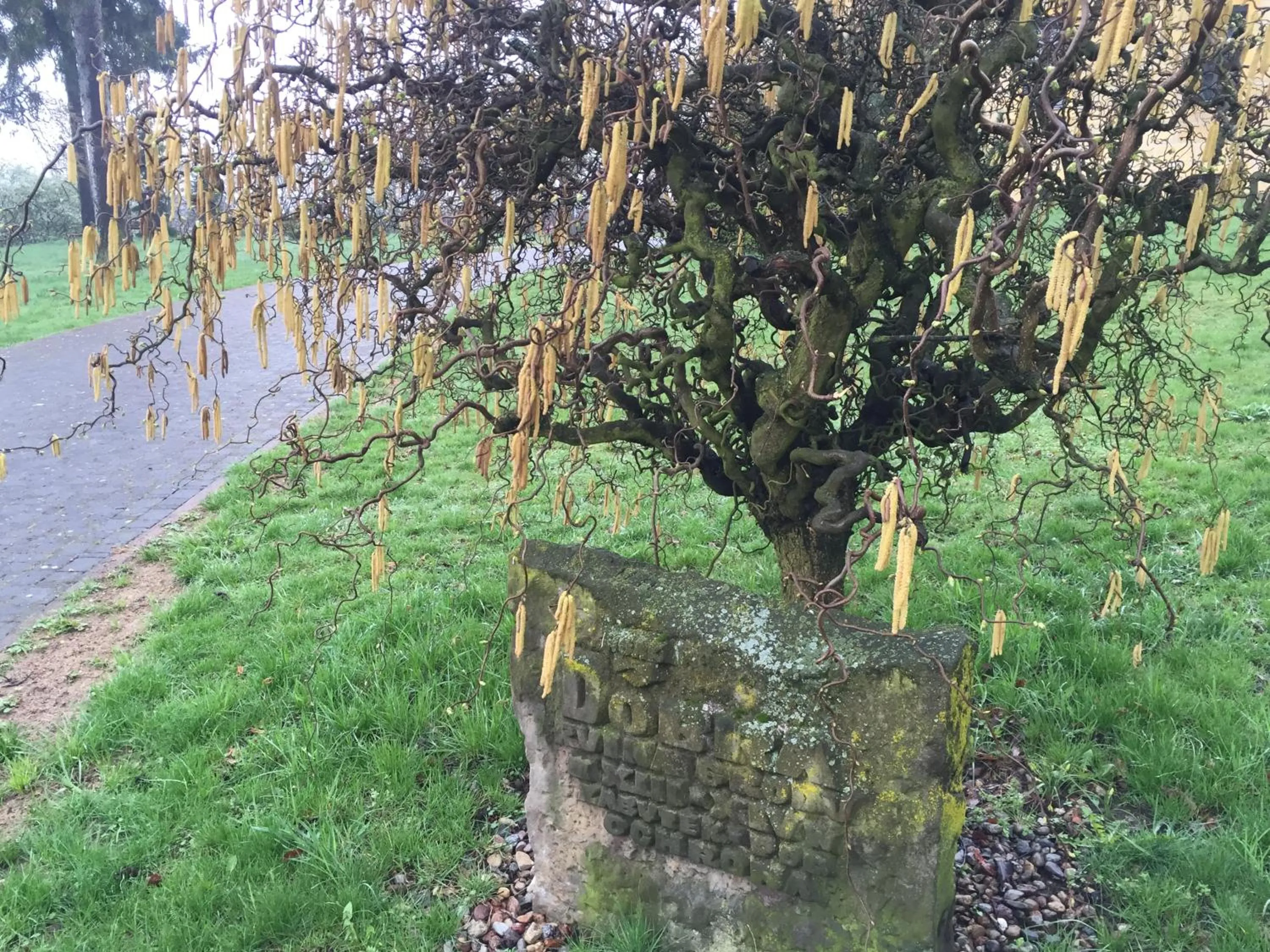 Other in Zamek Dobra