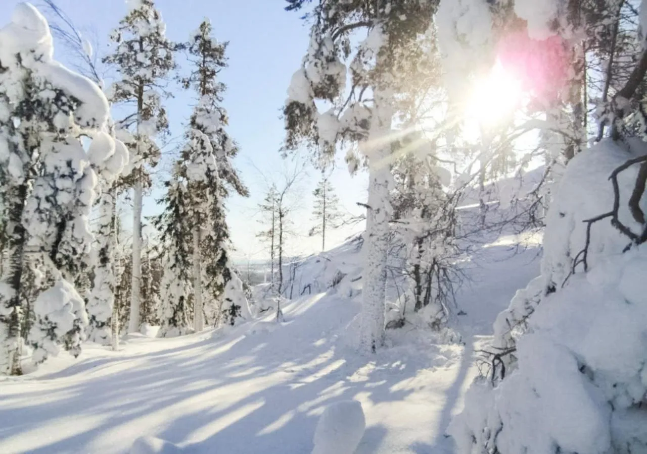 Natural landscape in Hotelli Sodankylä