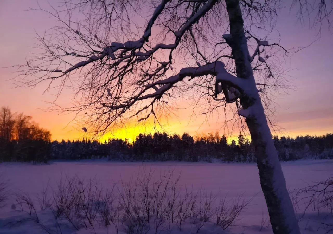 Winter in Hotelli Sodankylä