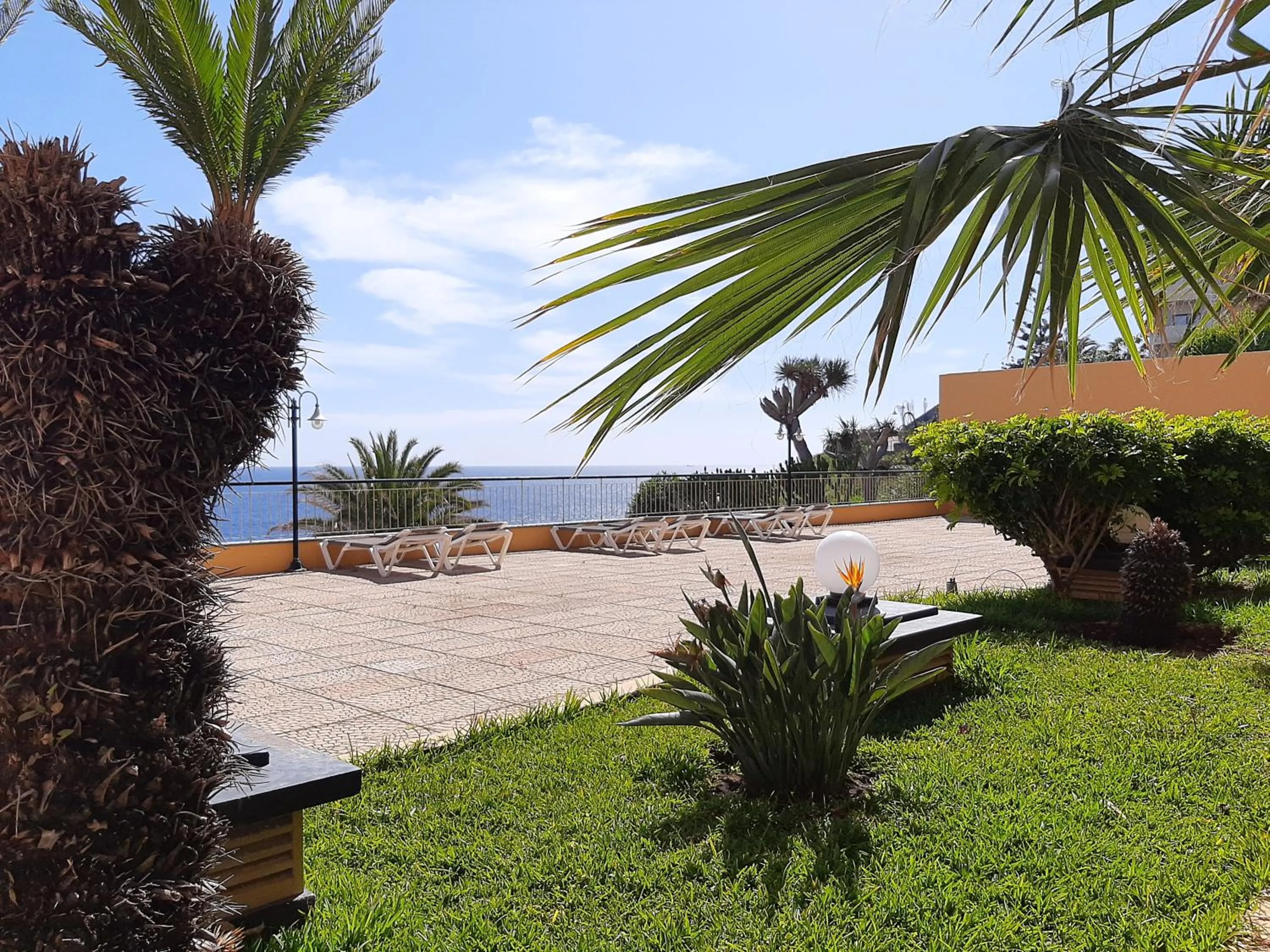 Garden in Hotel Cais da Oliveira