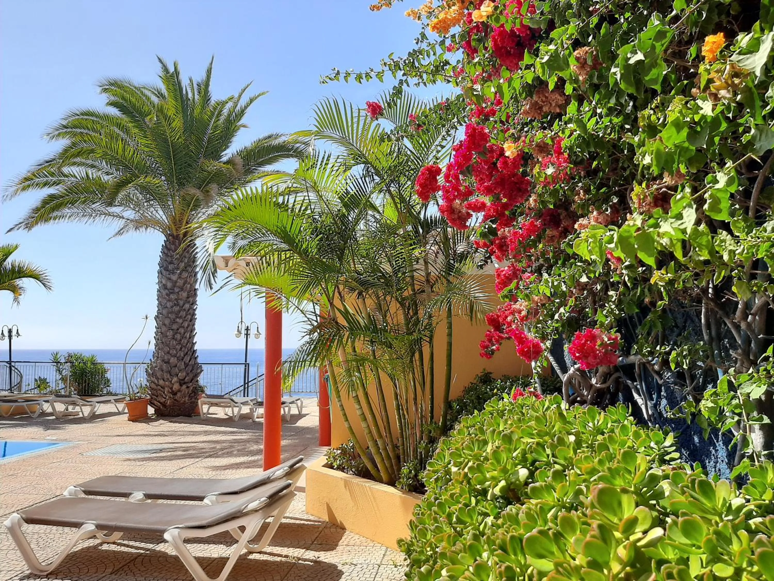 Garden in Hotel Cais da Oliveira