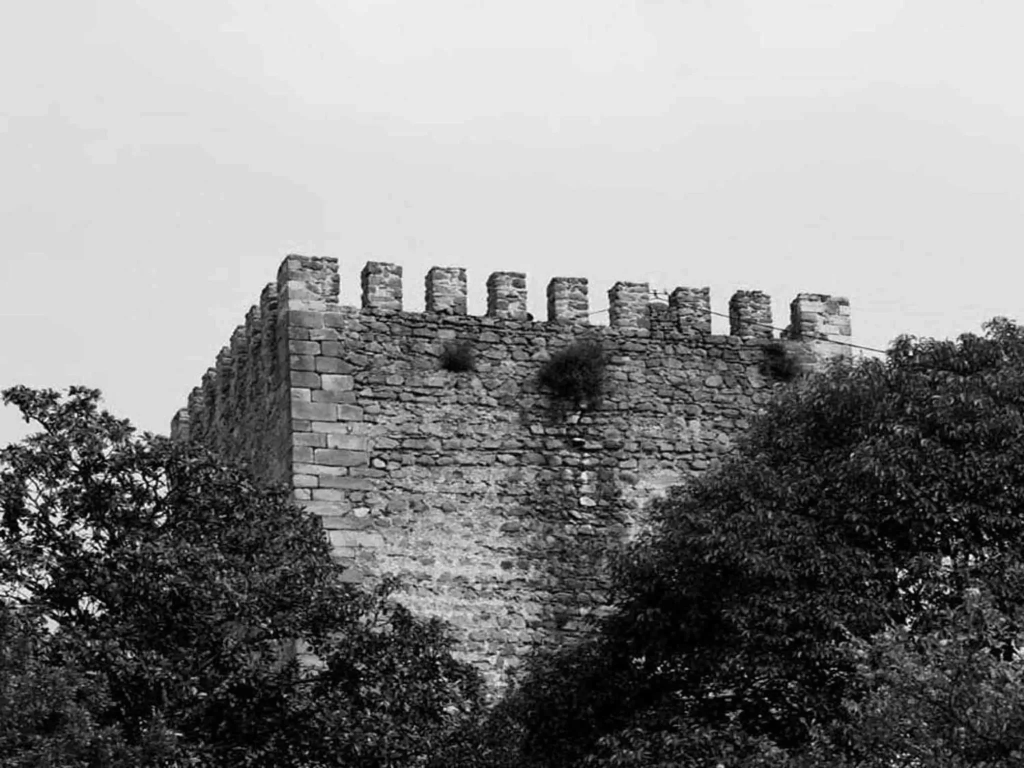 Area and facilities in Rossio Hotel