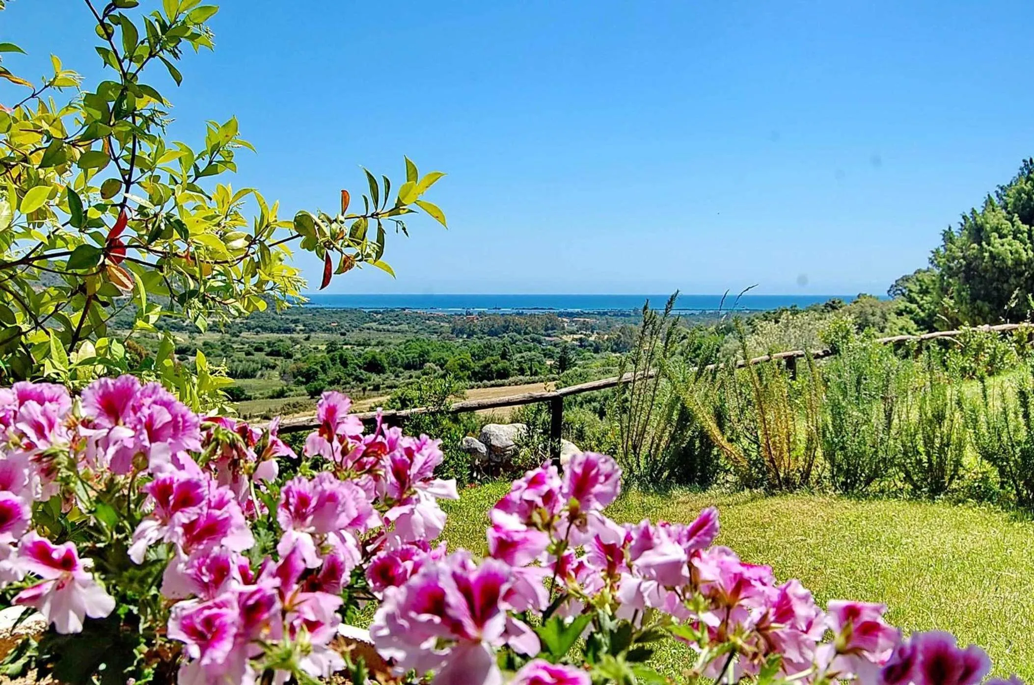 View (from property/room) in Li Teggi Turismo Rurale