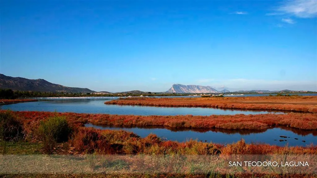 Area and facilities in Li Teggi Turismo Rurale