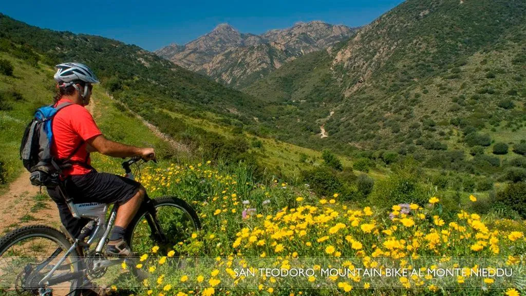 Area and facilities in Li Teggi Turismo Rurale