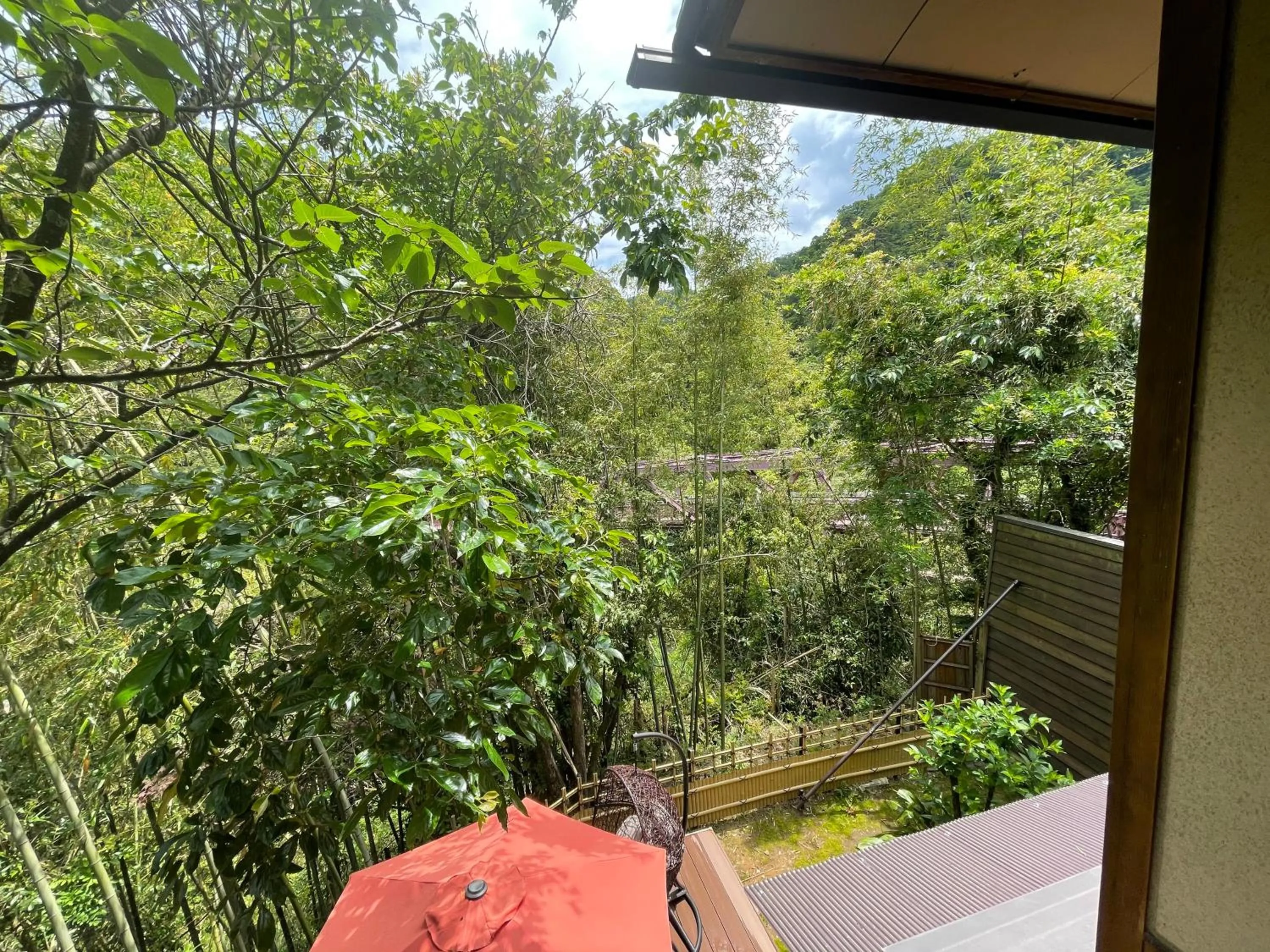 Natural landscape in Kocho