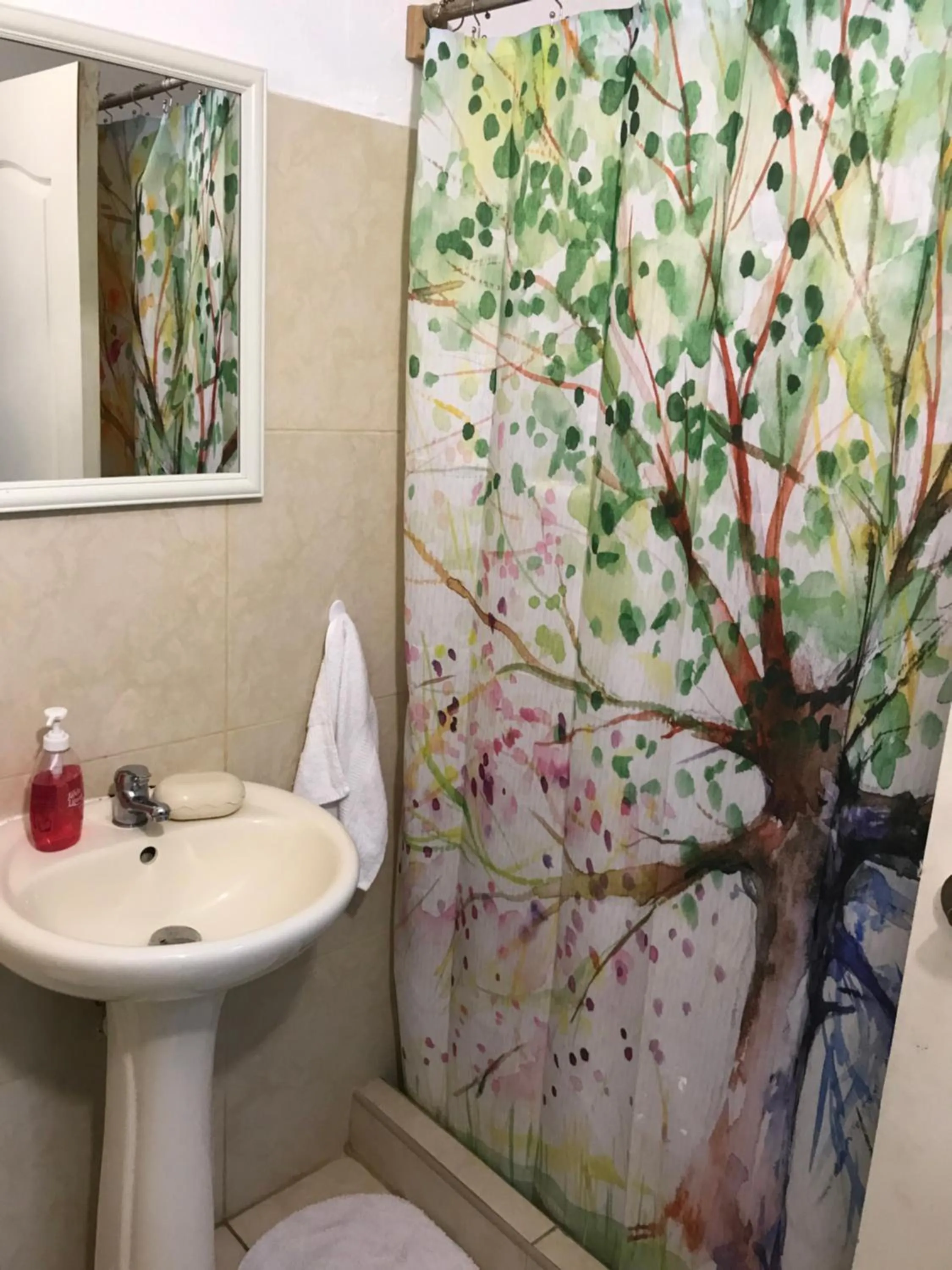 Shower in Uli´s house