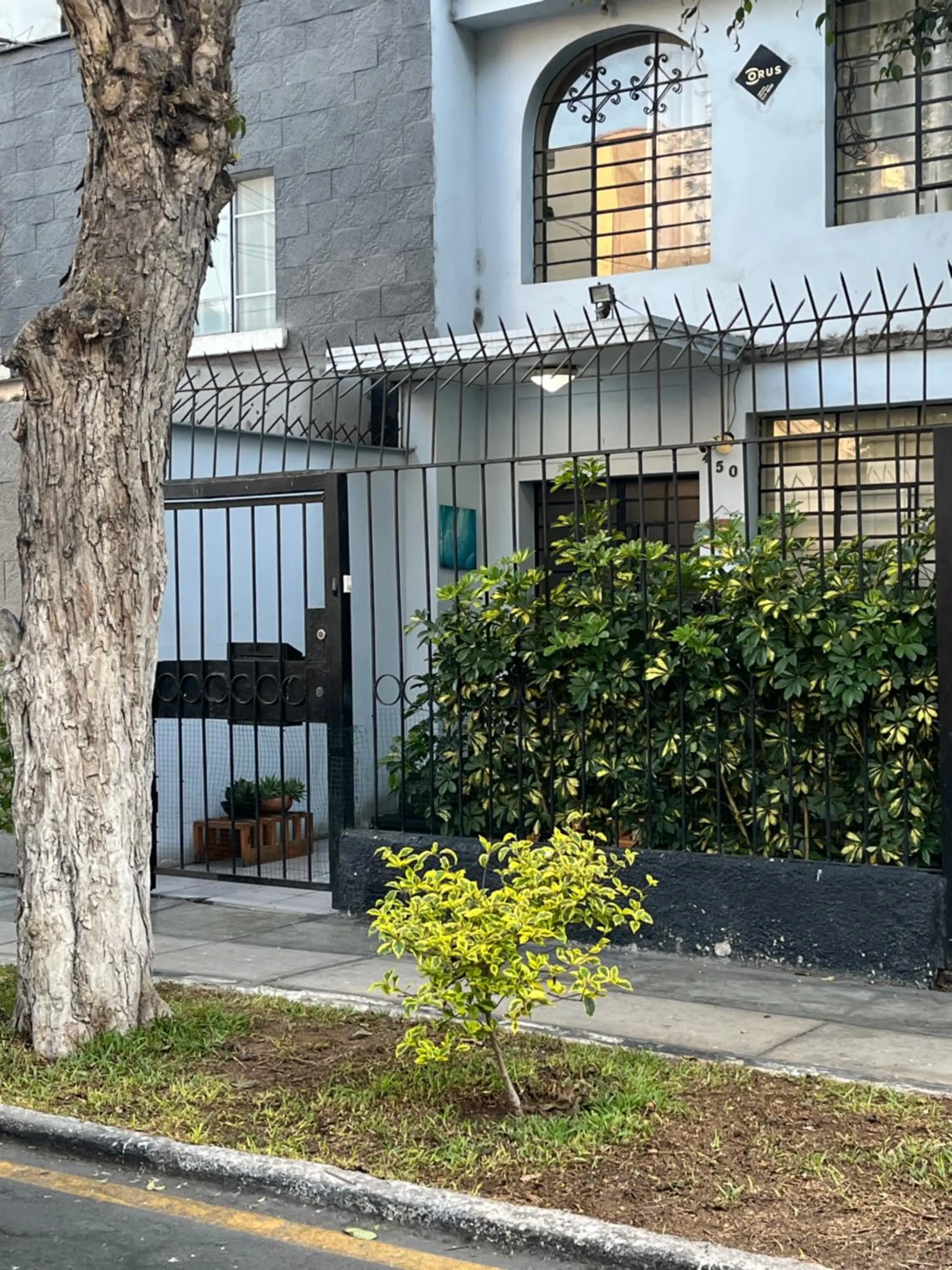 Property building in Uli´s house