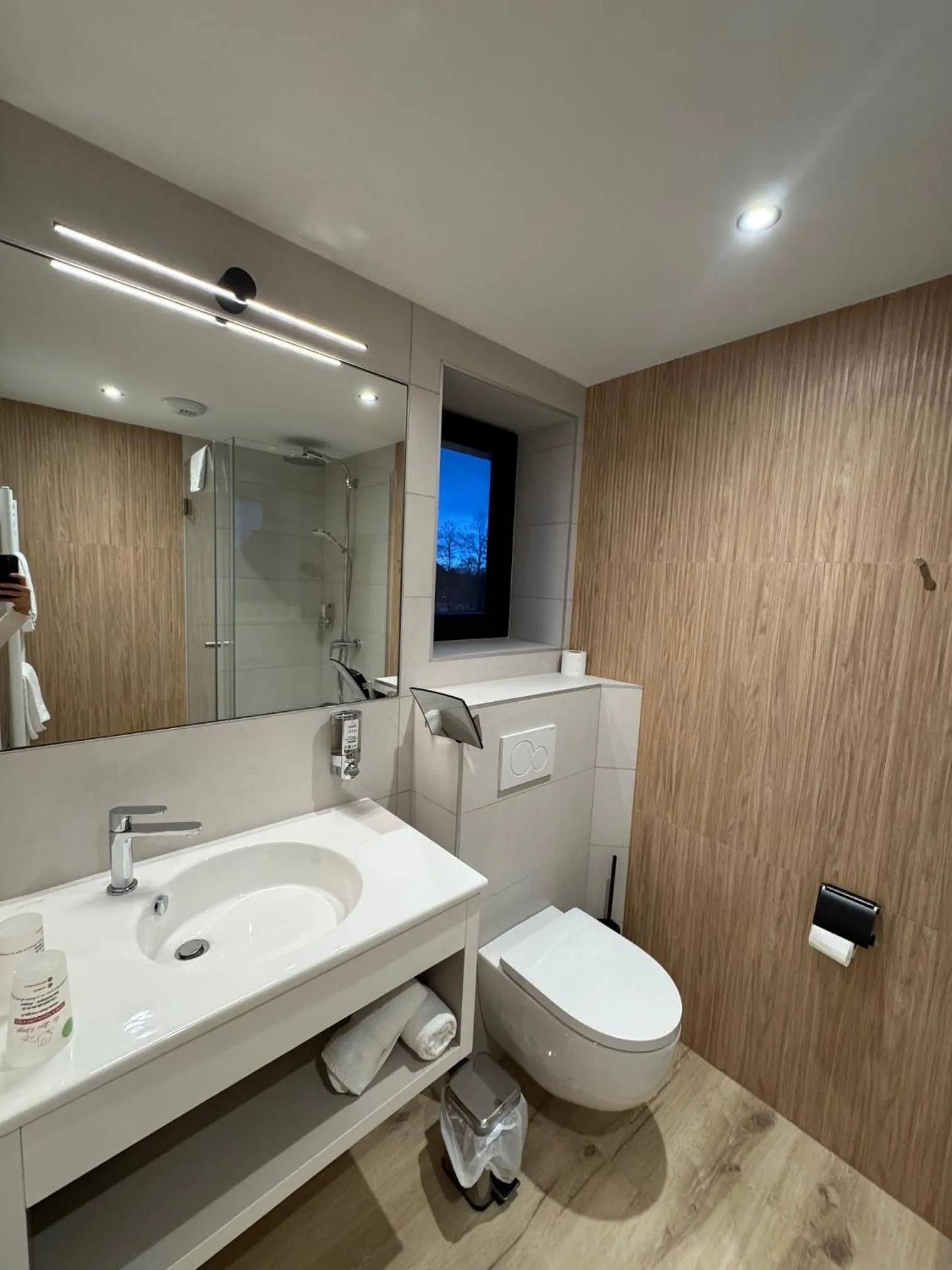 Bathroom in Logis Hôtel Restaurant Au Lion Rouge