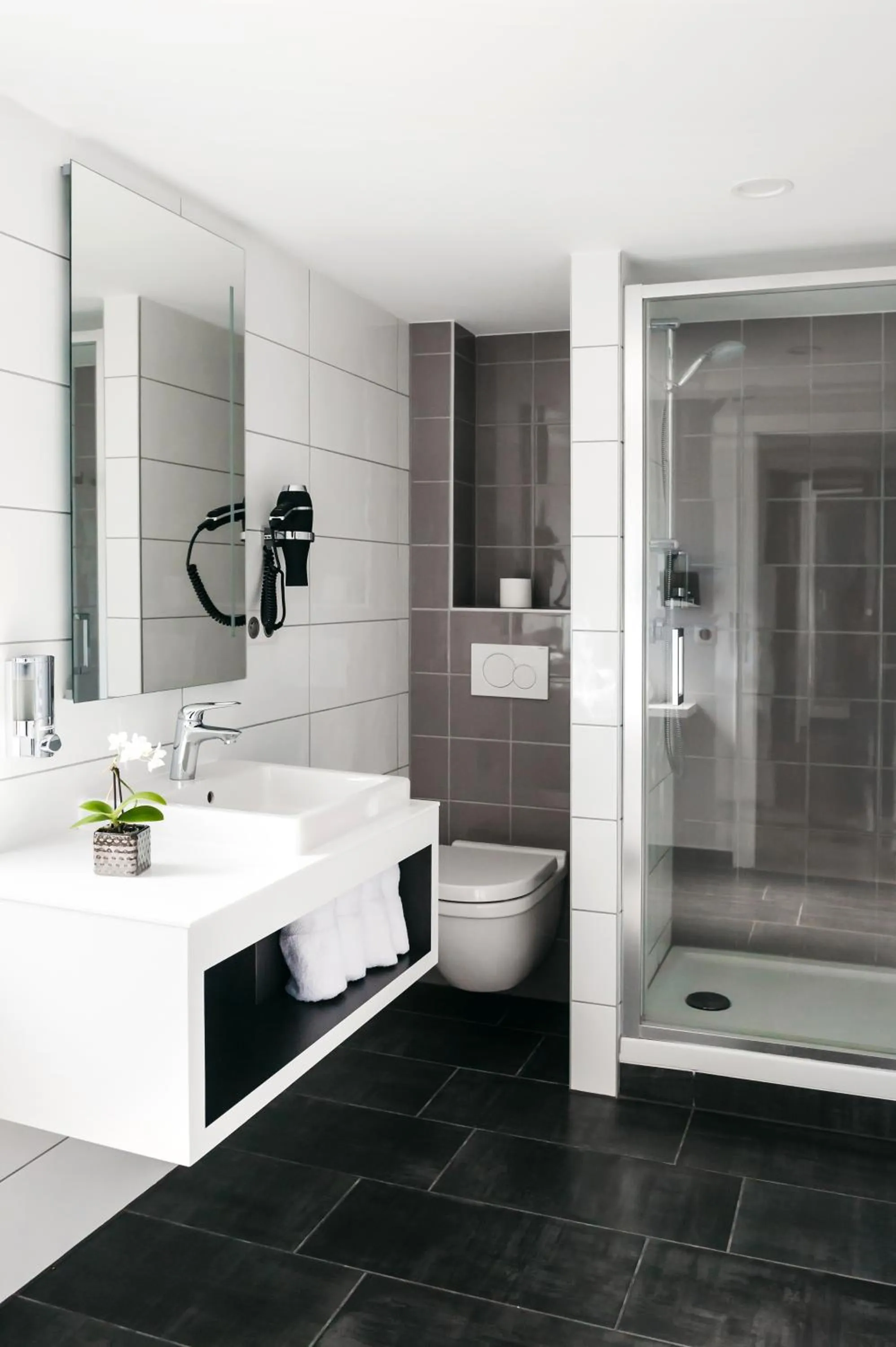 Shower in Logis Hôtel Restaurant Au Lion Rouge