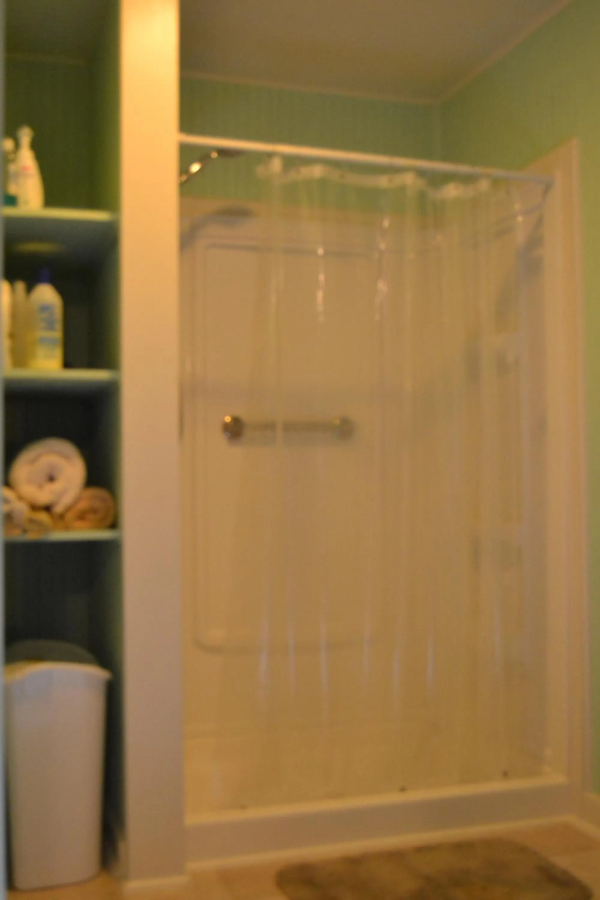 Shower in Carleton House Bed and Breakfast