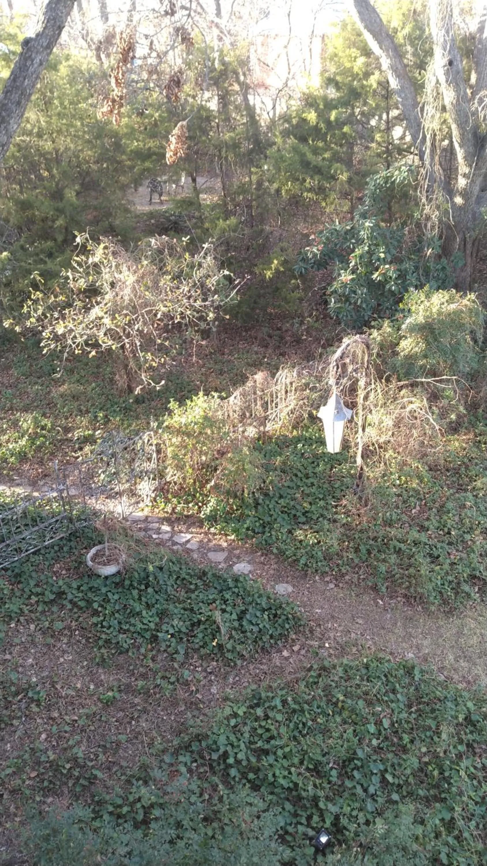 View (from property/room) in Carleton House Bed and Breakfast