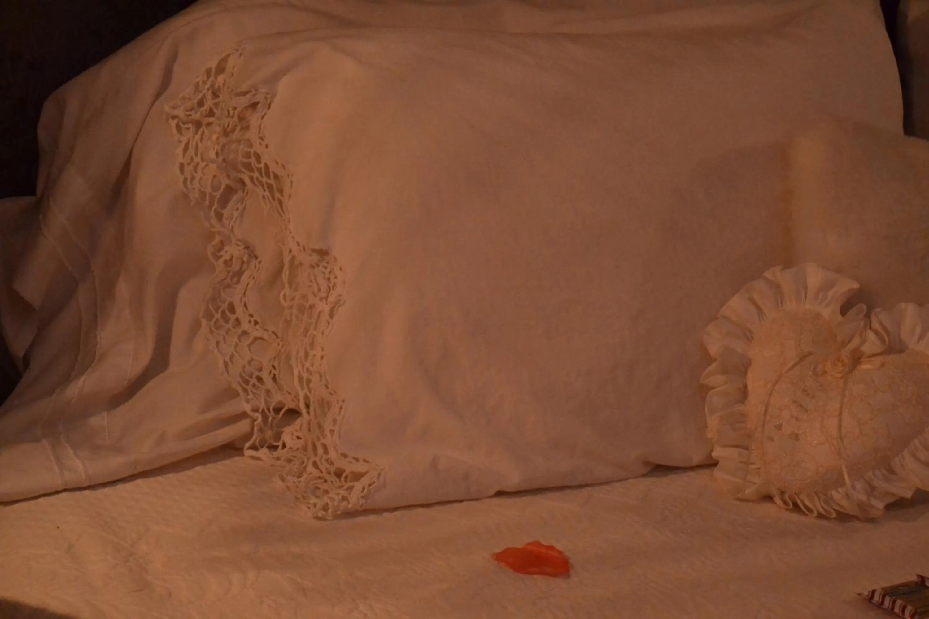 Decorative detail, Bed in Carleton House Bed and Breakfast