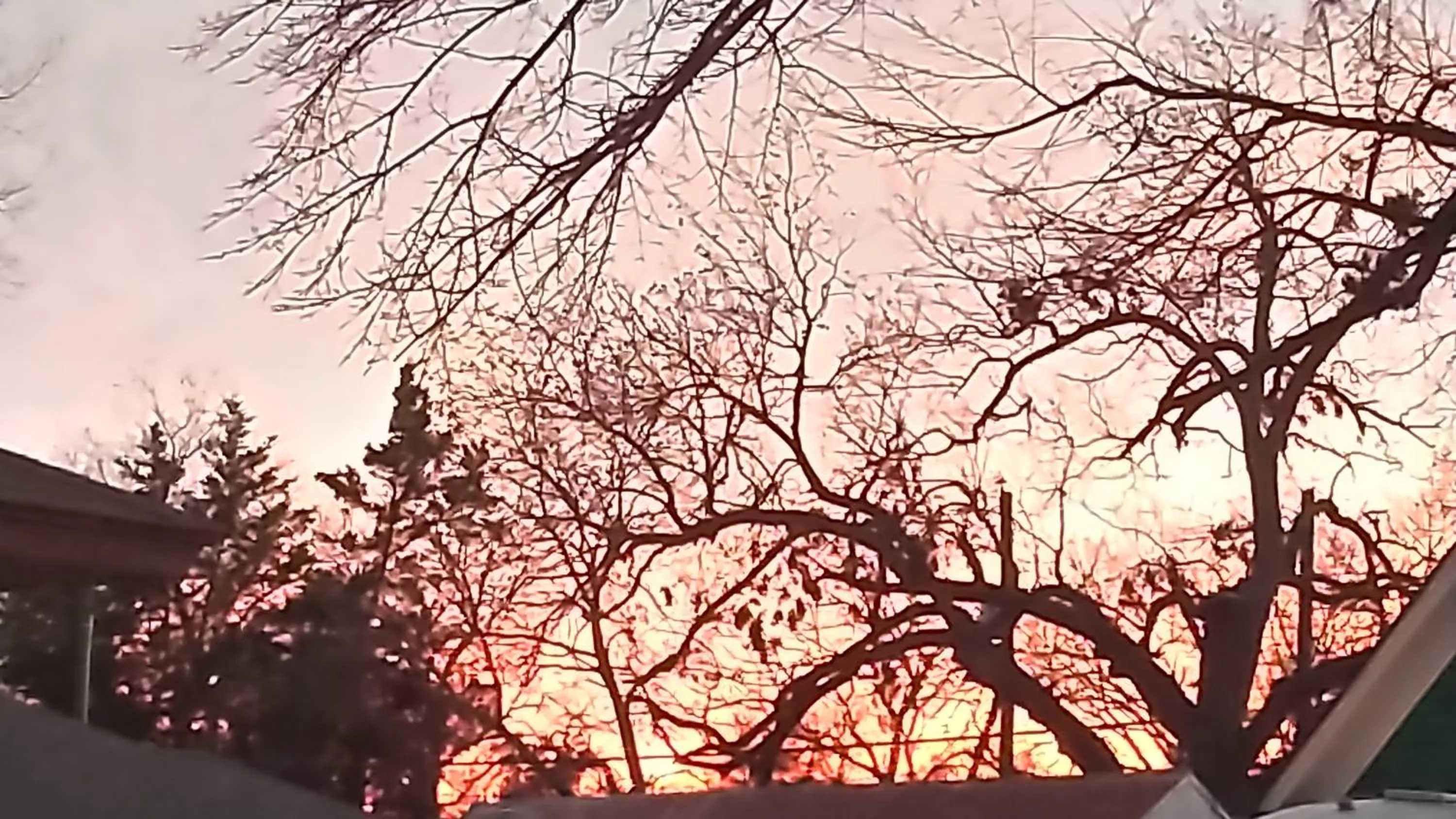 View (from property/room) in Carleton House Bed and Breakfast