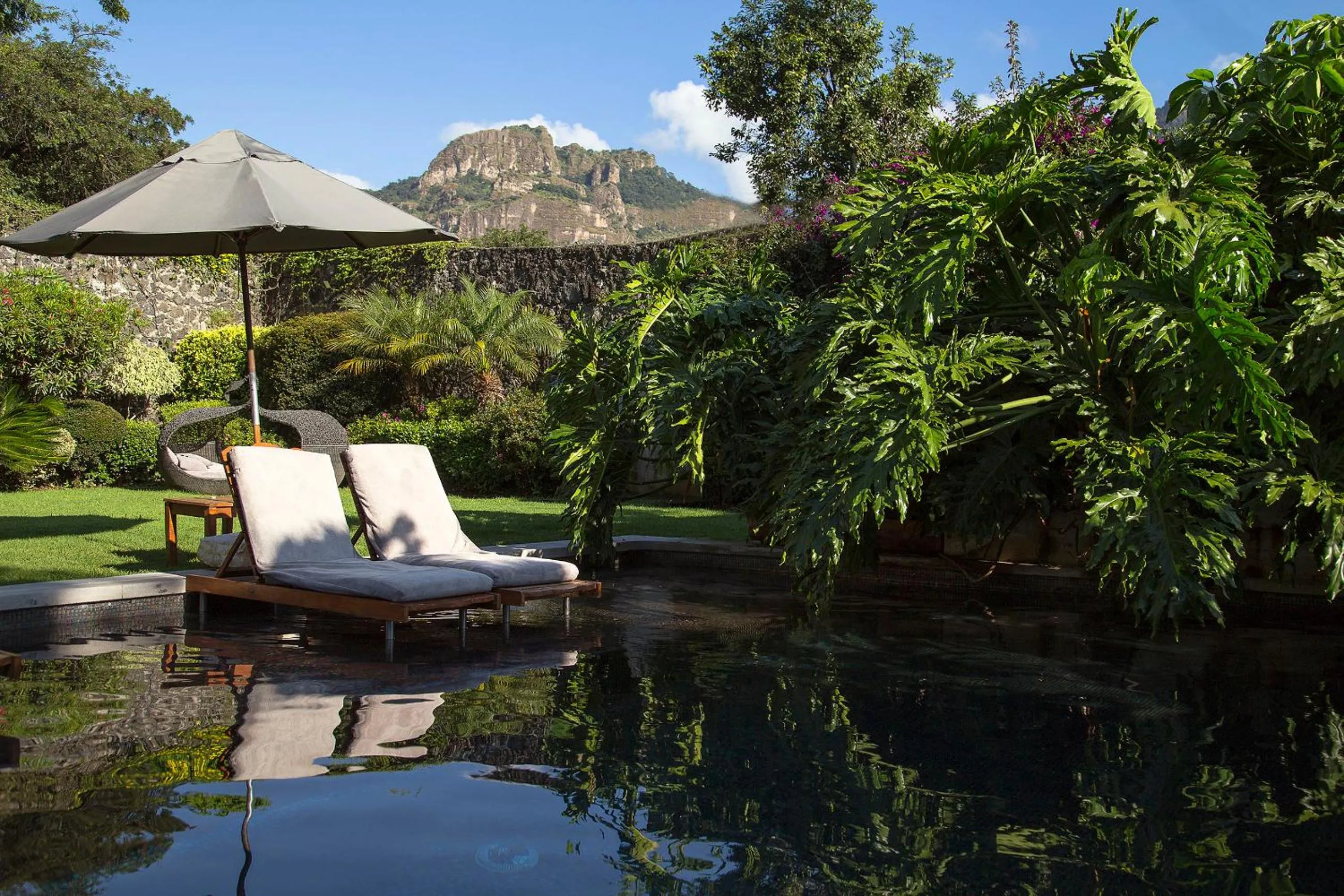 Garden in Hotel Boutique Casa Fernanda