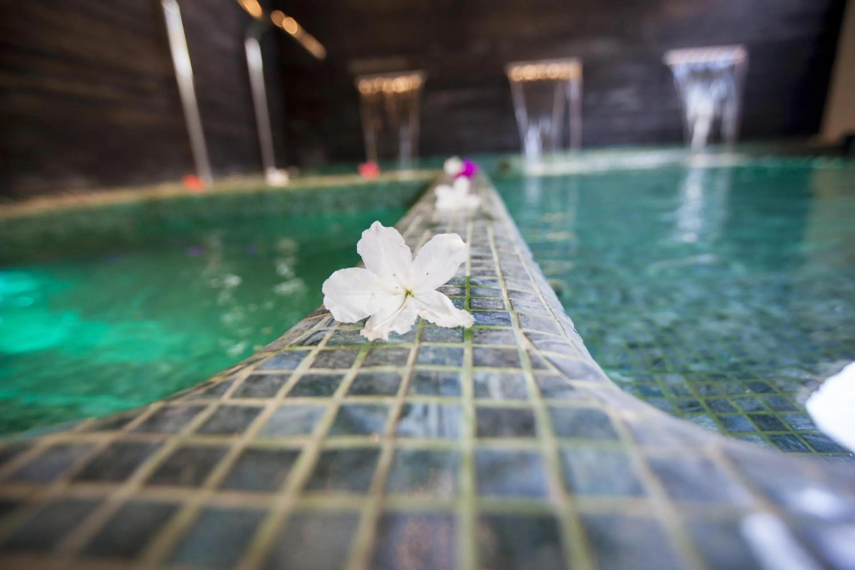 Hot Tub in Hotel Boutique Casa Fernanda